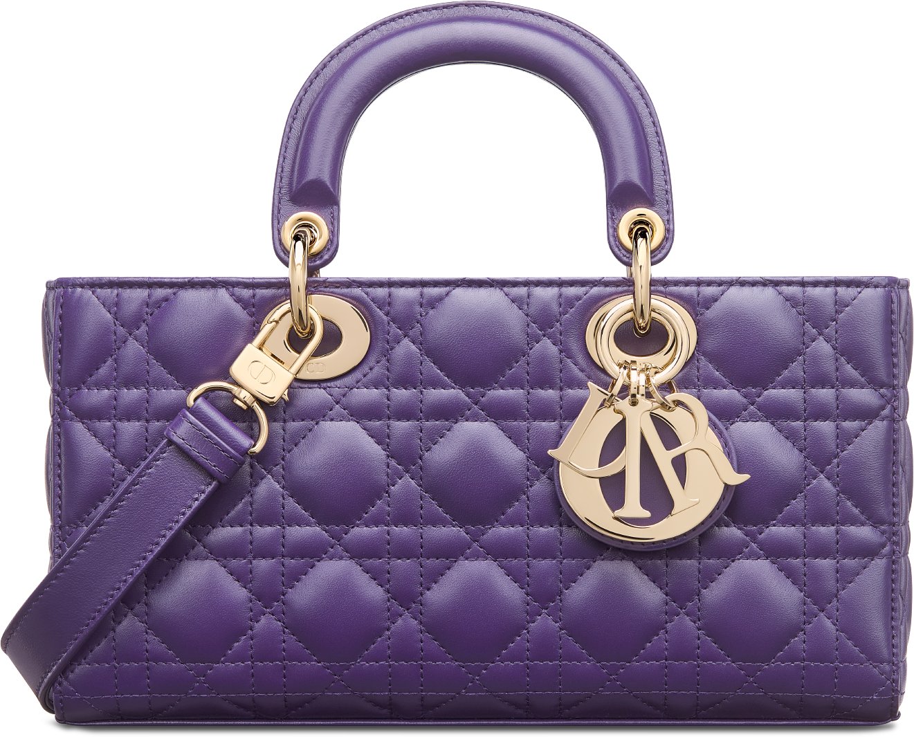 Lady d dior bag top