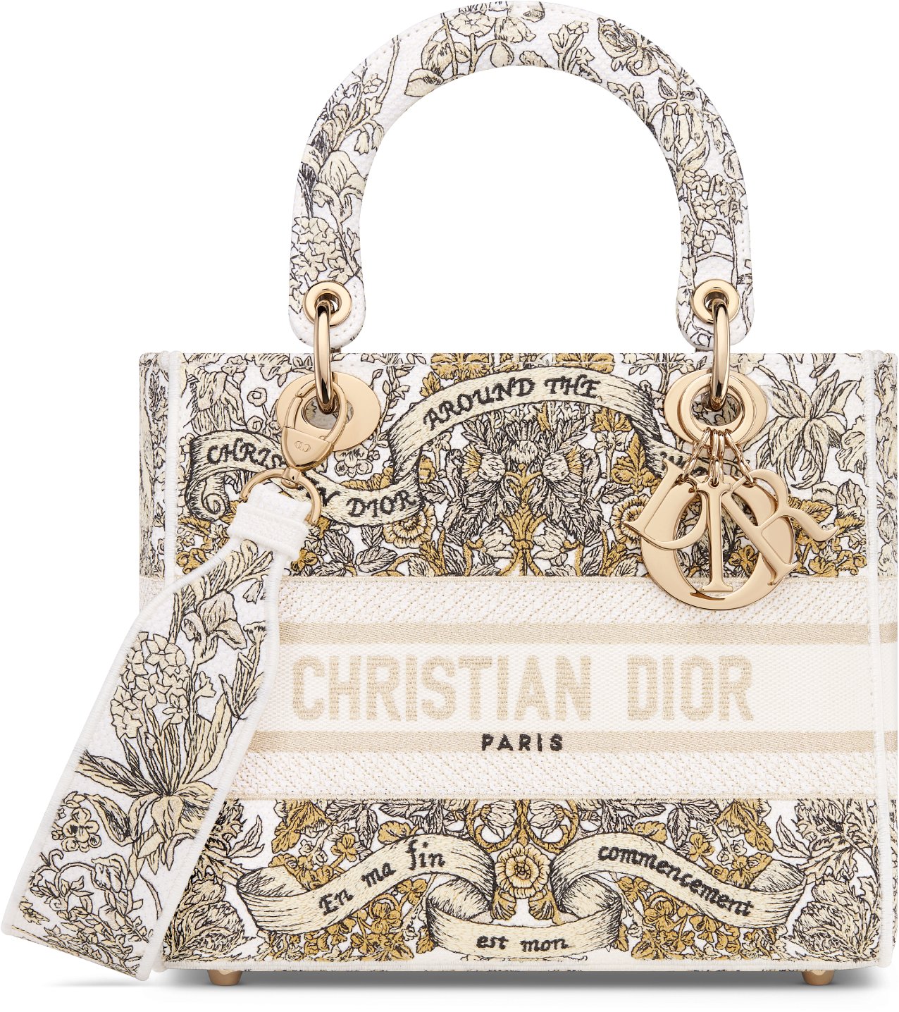 Luxury Designer Handbags for Women DIOR