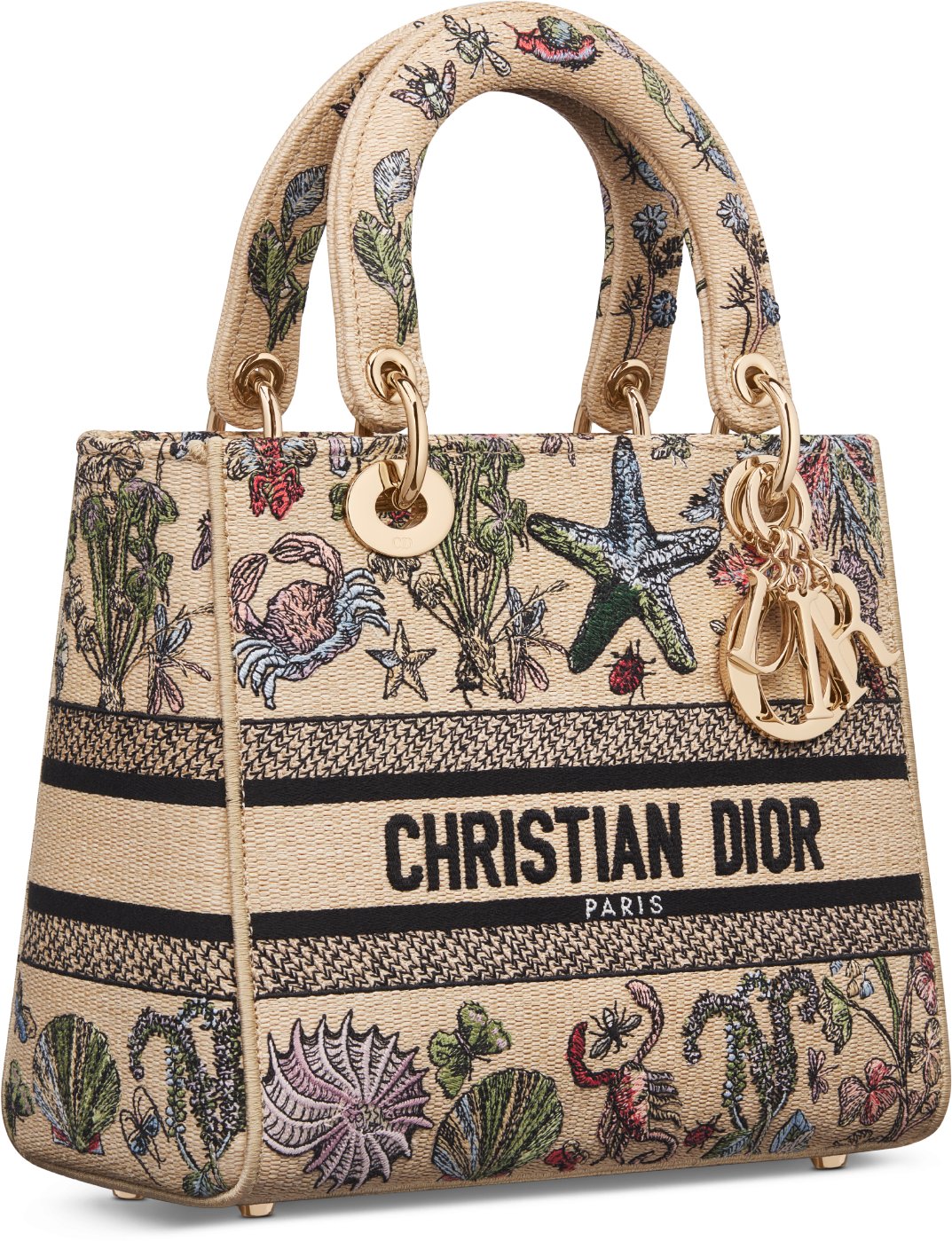 Dior multicolor bag outlet