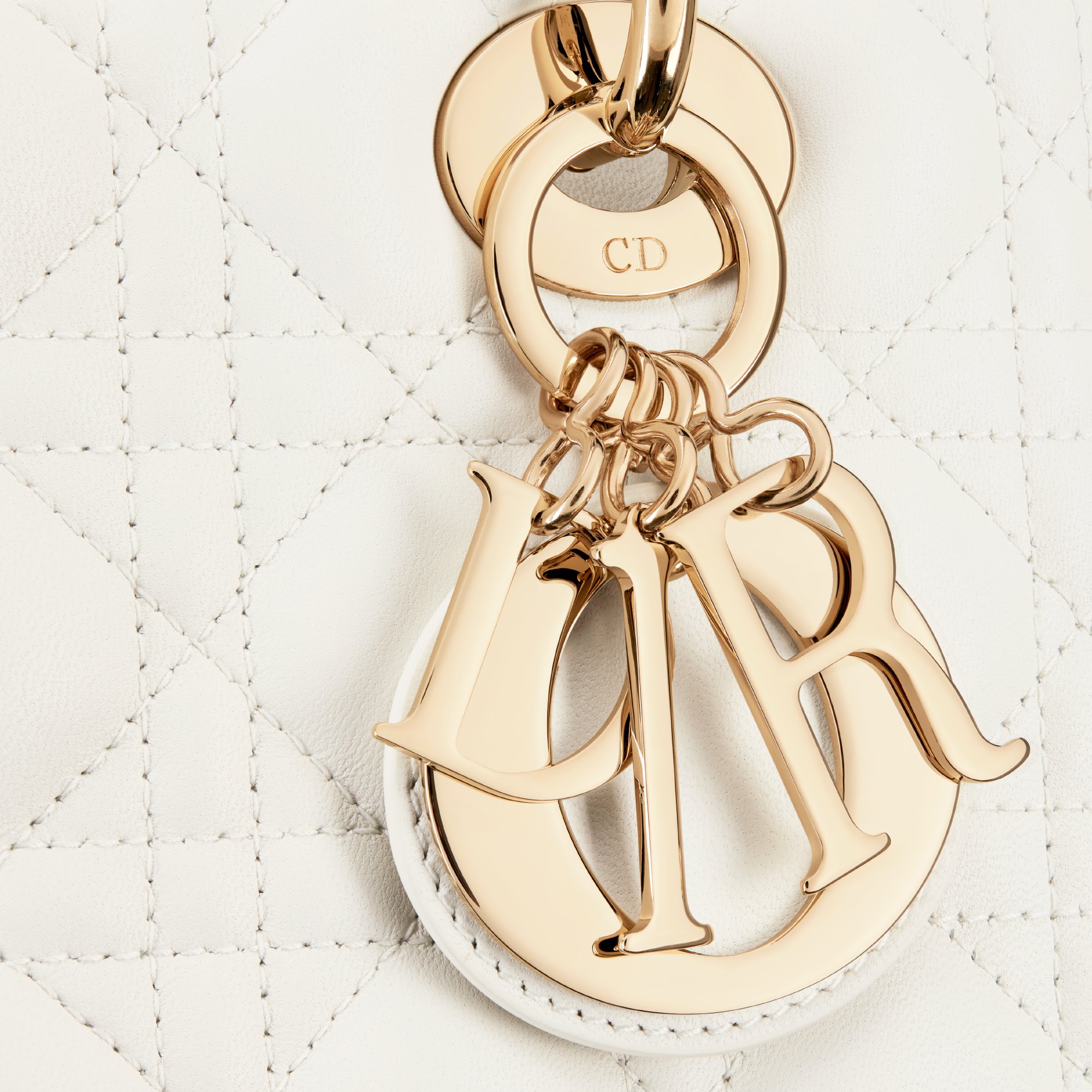 Medium Lady Dior Bag Detailed view