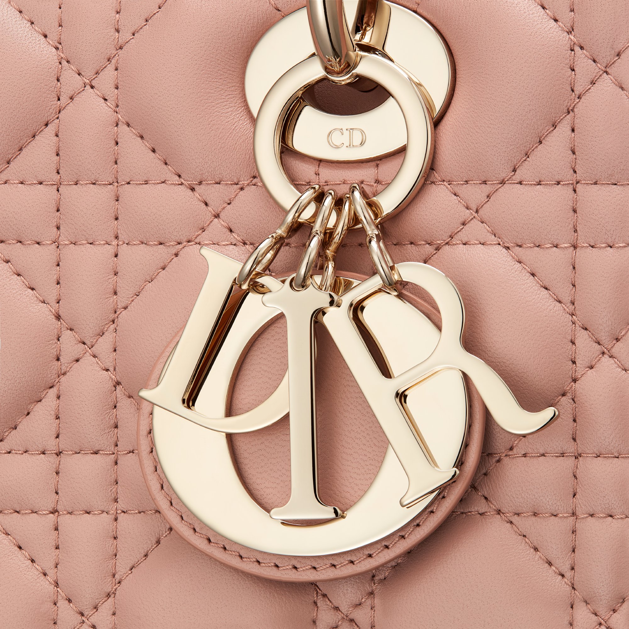 Medium Lady Dior Bag Detailed view