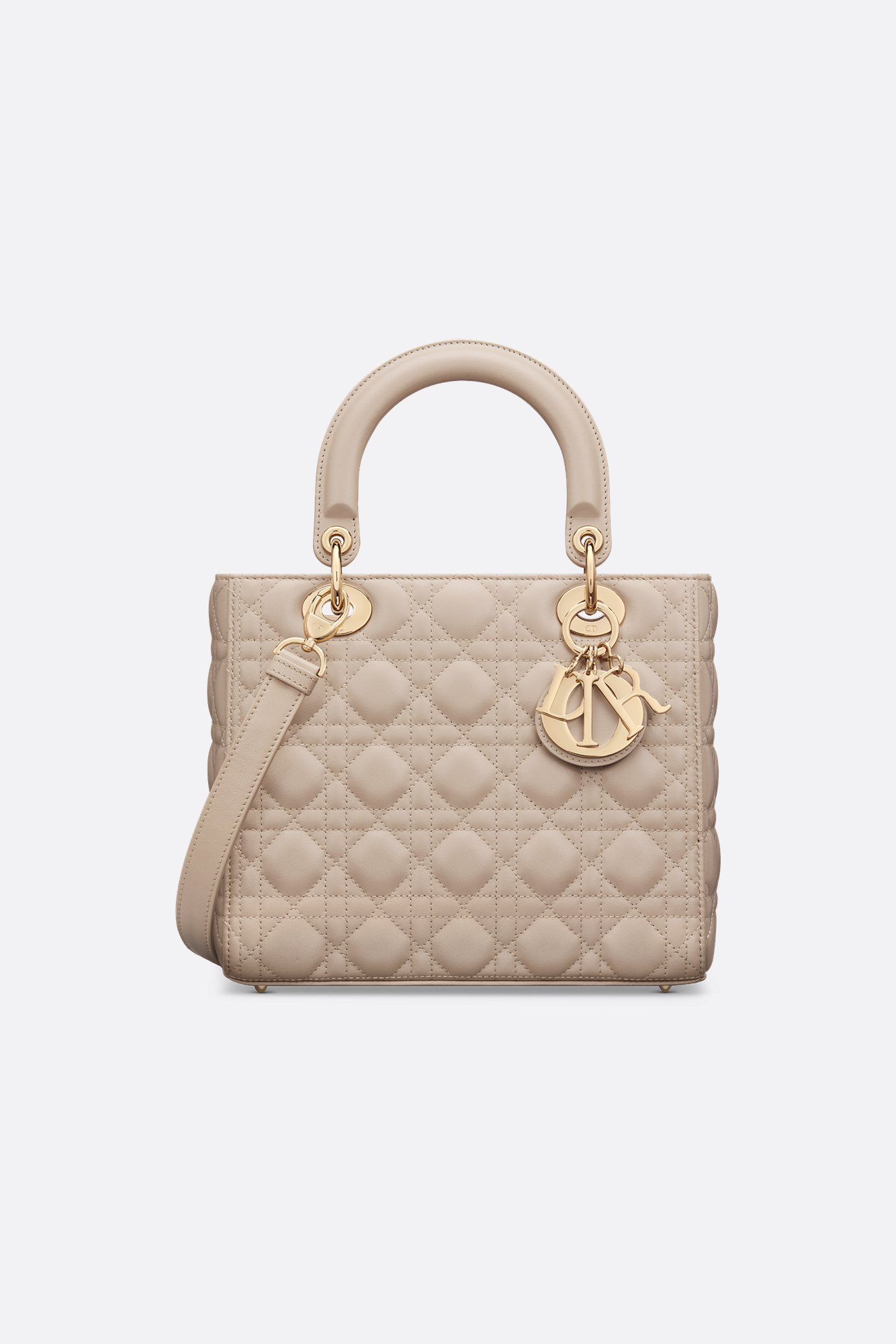 DIOR | レディディオール |ウィメンズレザーグッツ|ディオール DIOR | レディディオール |ウィメンズレザーグッツ|ディオール