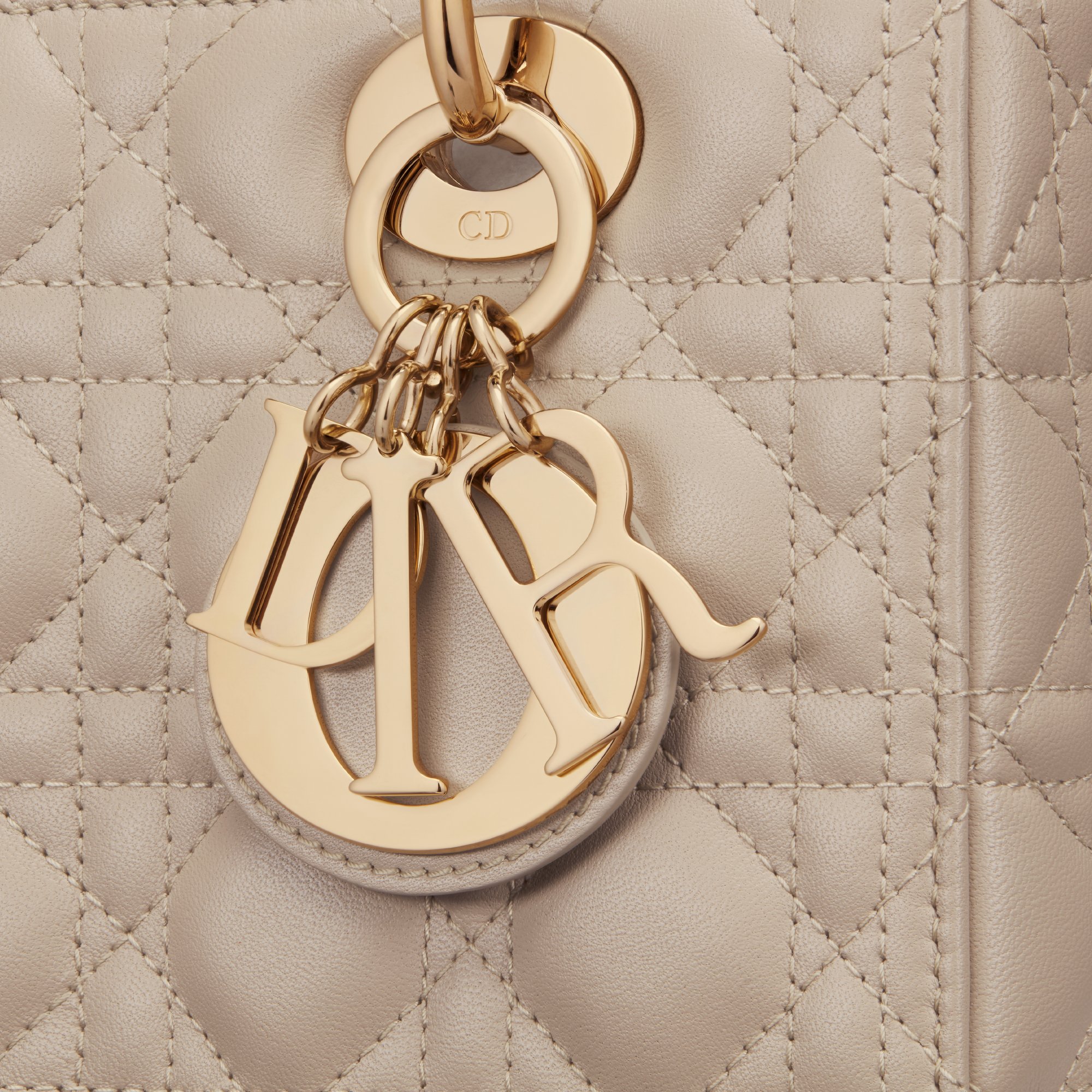 Medium Lady Dior Bag Detailed view