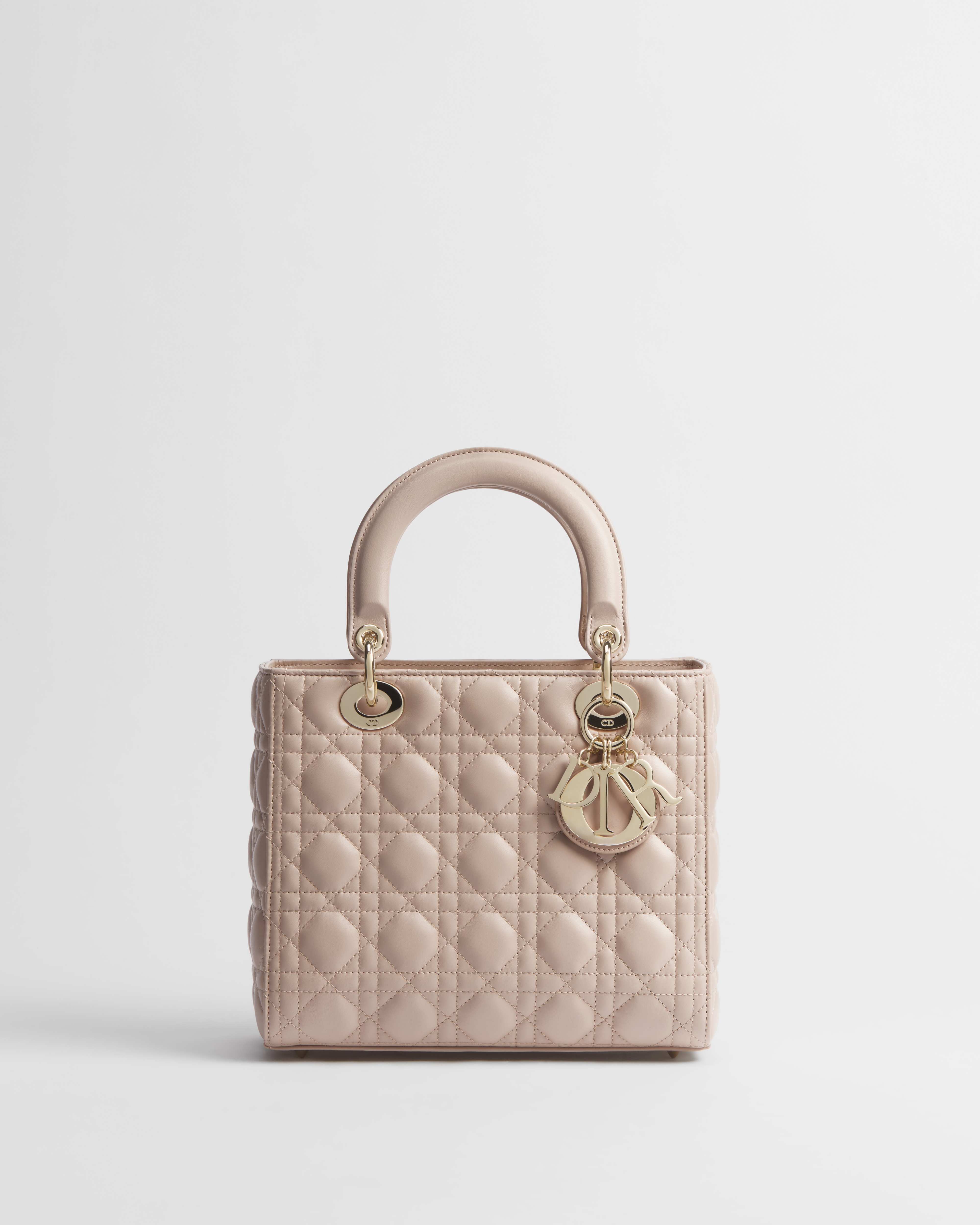 Lady Dior バッグ ミディアム カナージュ ラムスキン E01