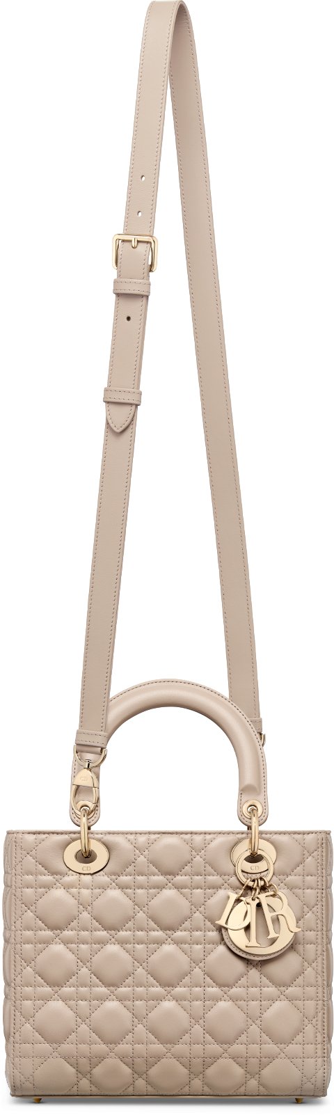 Medium Lady Dior Bag Unfolded view