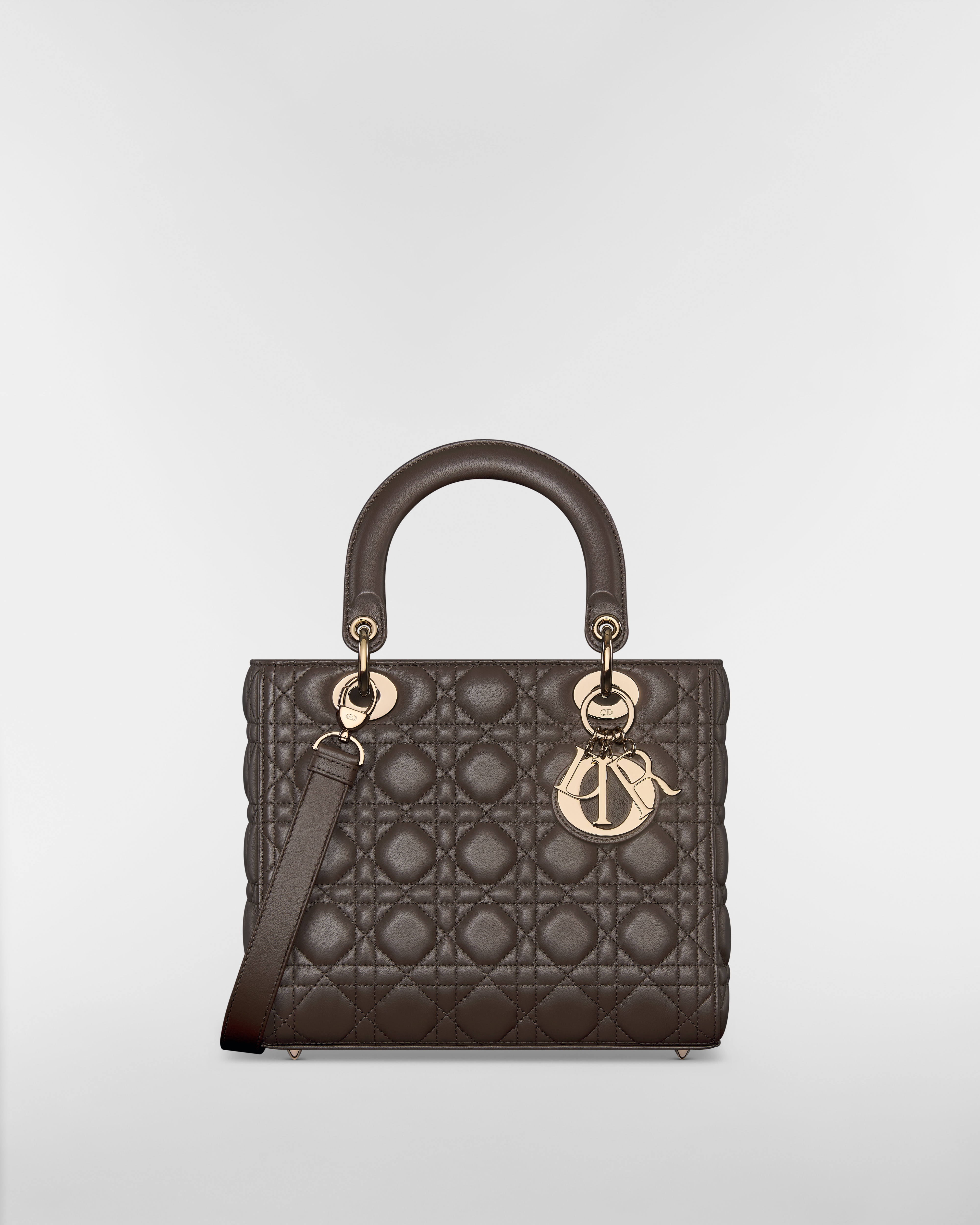 Medium Lady Dior Bag Dark Chocolate Brown Cannage Lambskin E01