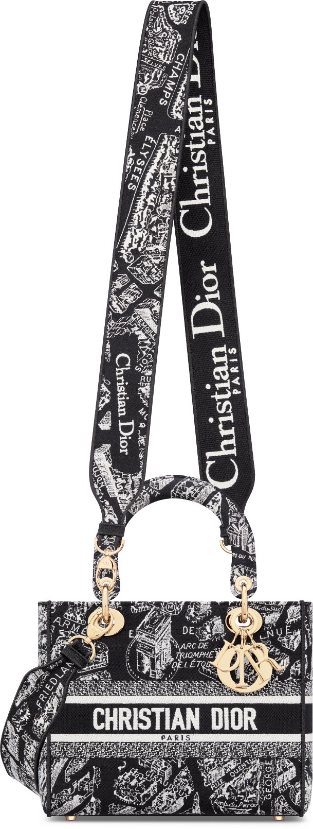 Dior bag black and white deals