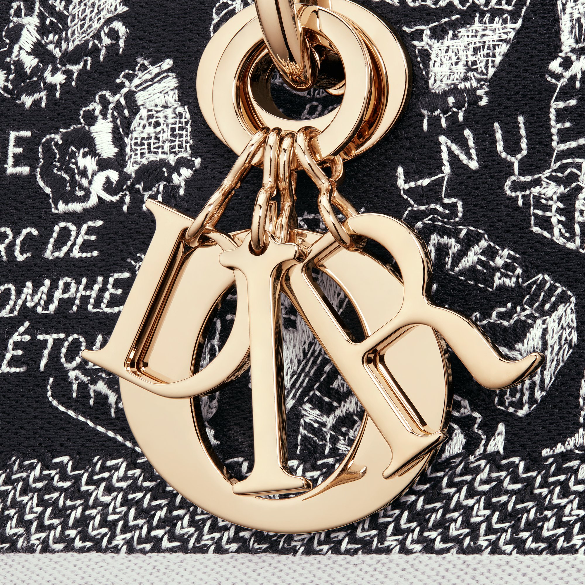 Lady D Lite Plan de Paris DIOR