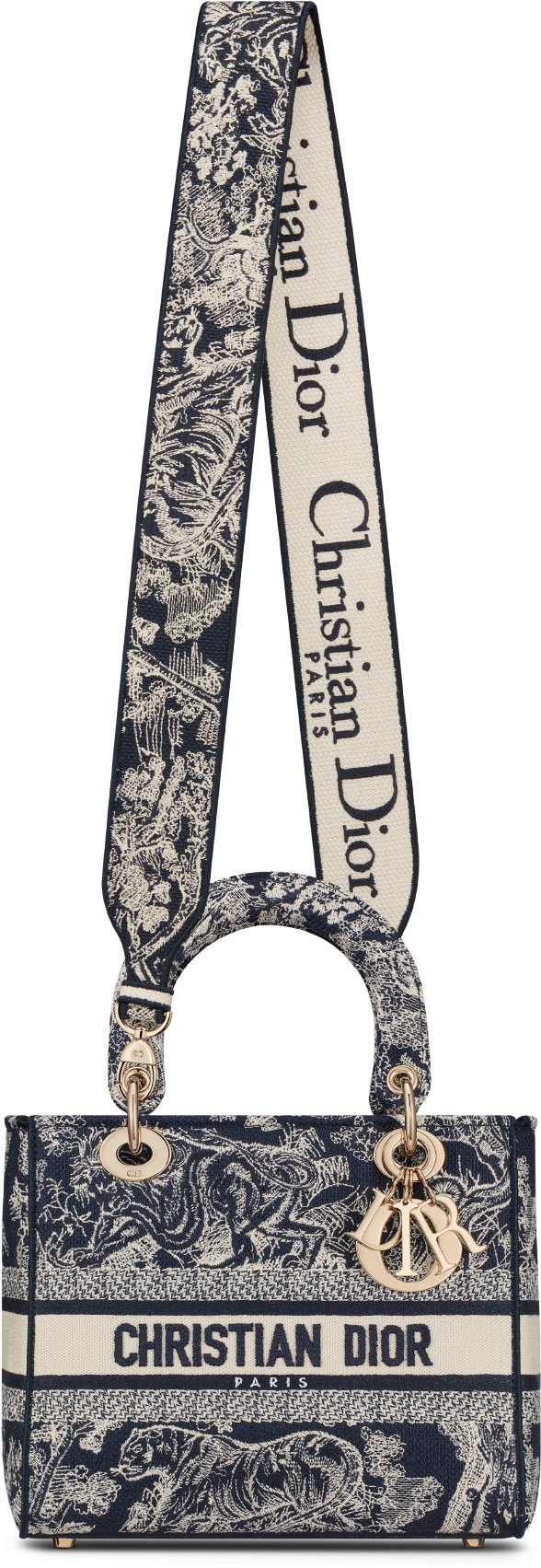 DIOR | Lady D-Lite バッグ ミディアム トワル ドゥ ジュイ リバース エンブロイダリー
