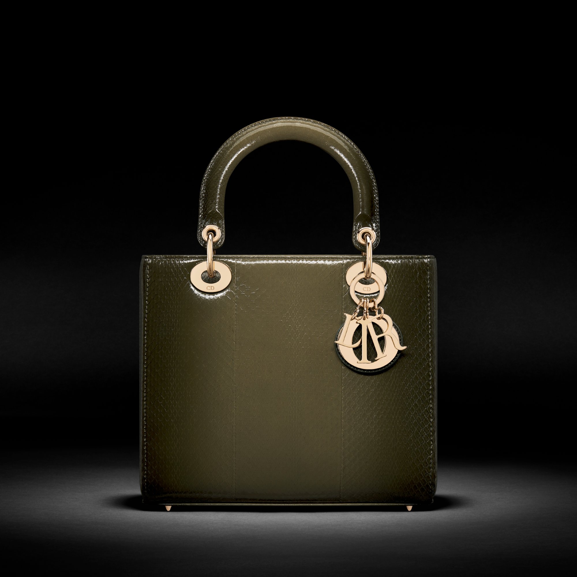 Dior shiny bag on sale