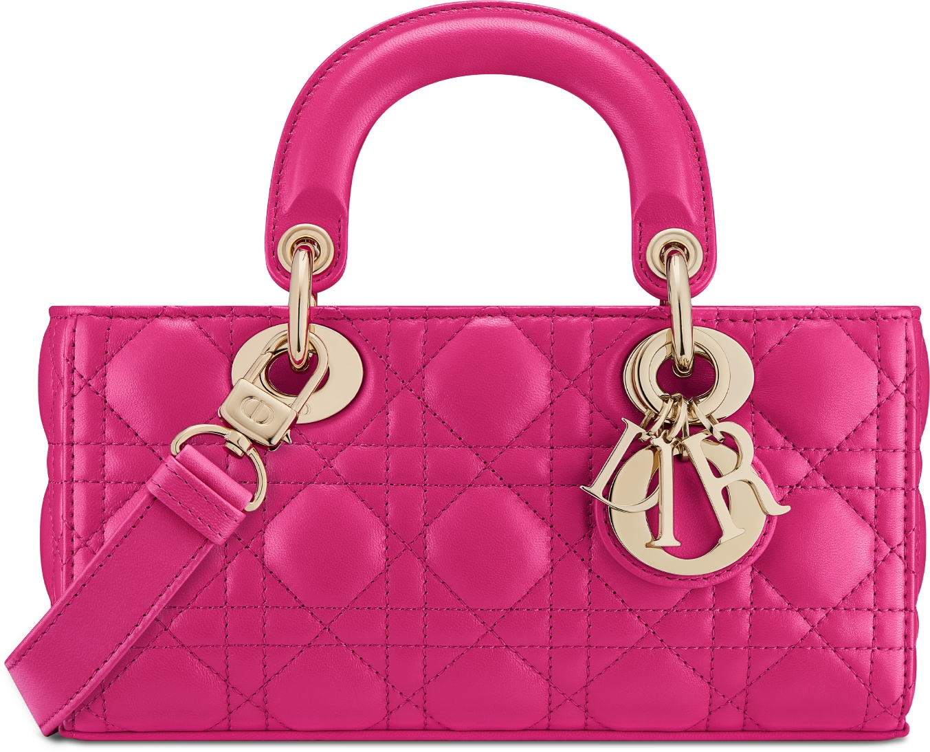 Lady D-Joy - Bags | DIOR