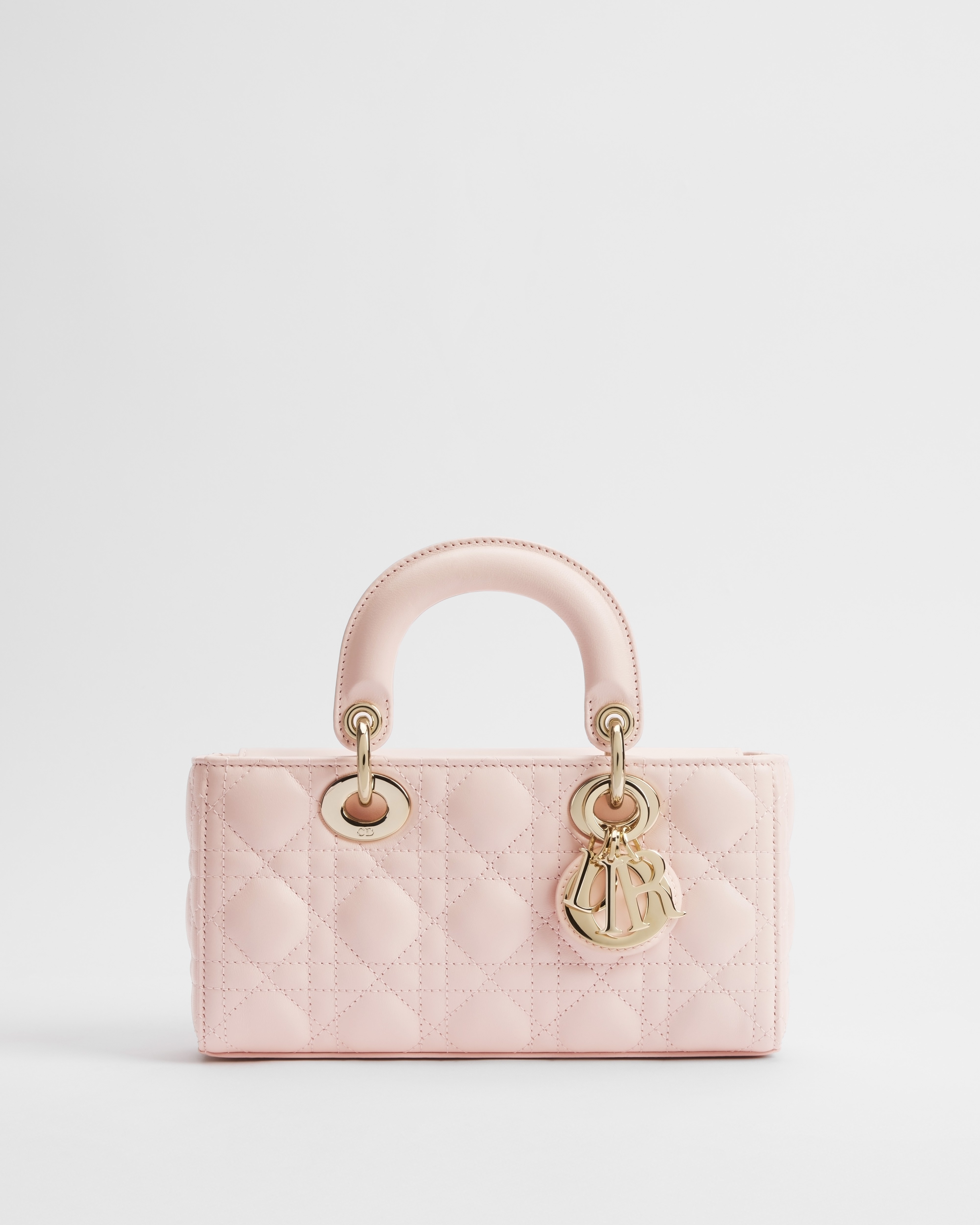 Lady D-Joy バッグ スモール カナージュ ラムスキン E01