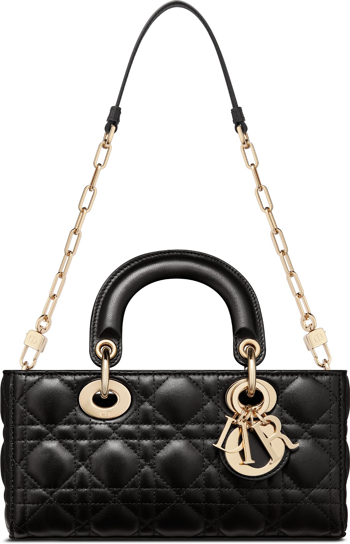 Lady D Joy Cannage DIOR