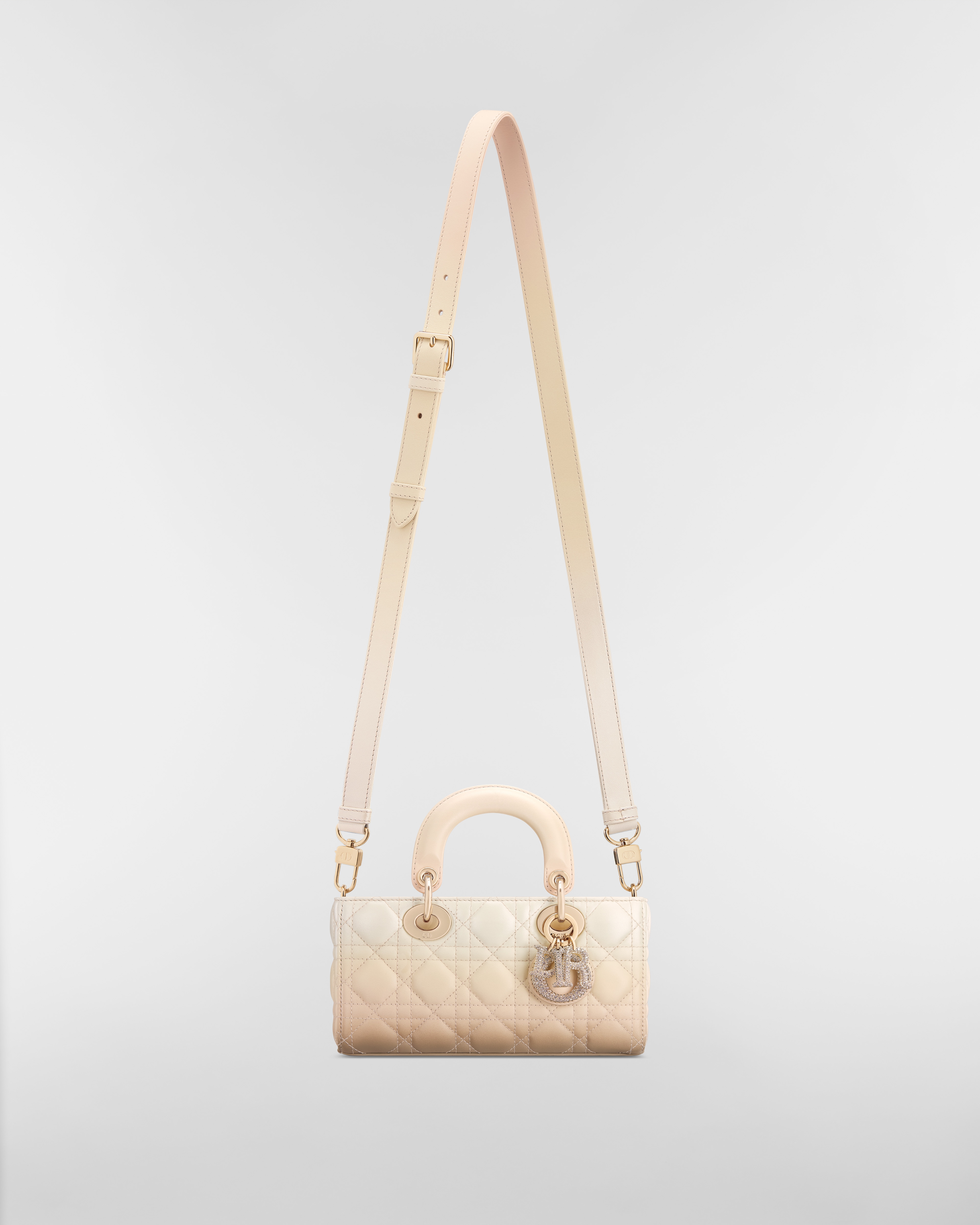 Lady D-Joy バッグ スモール カナージュ グラデーション ラムスキン E07