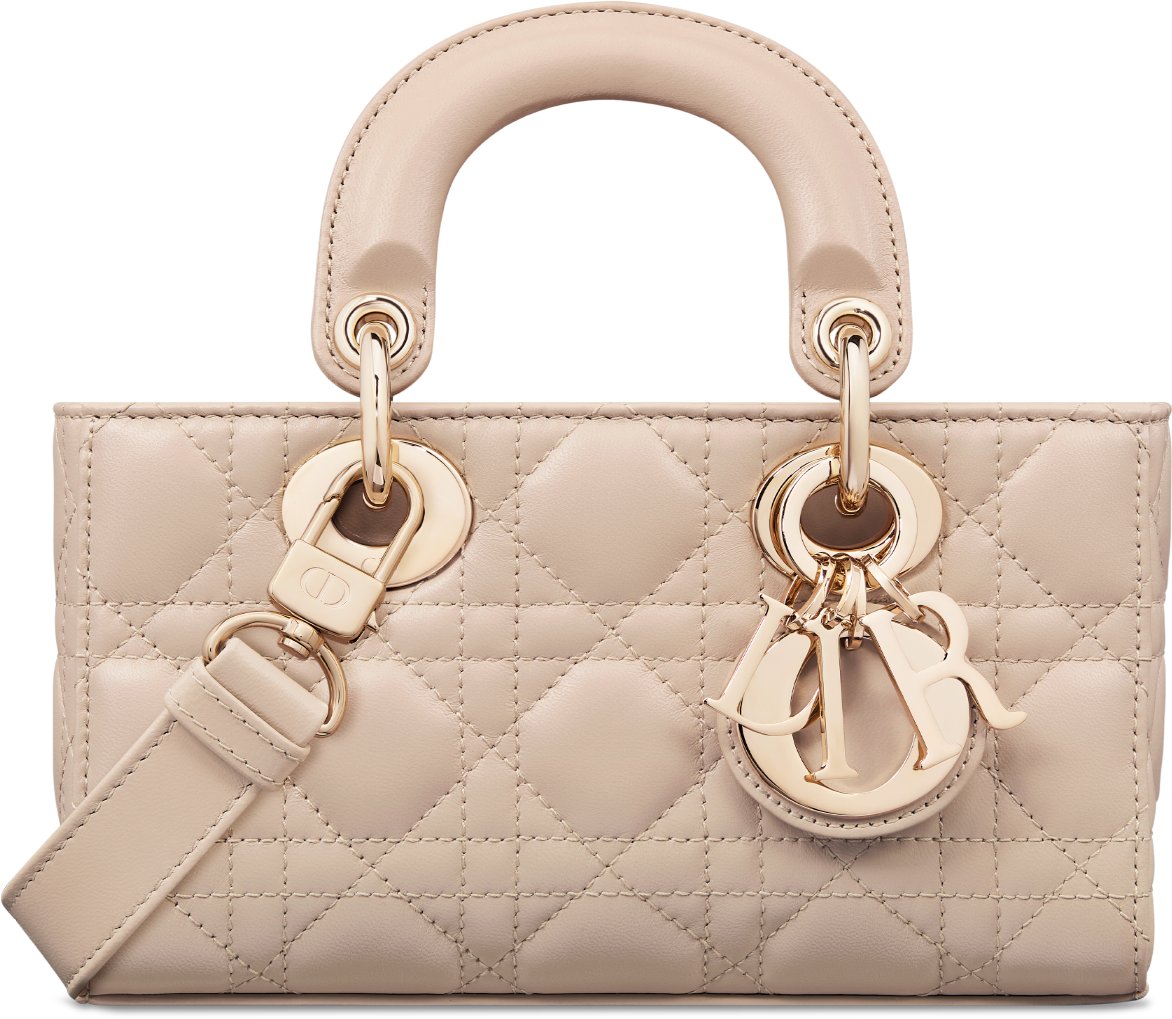 Lady D-Joy - Bags | DIOR
