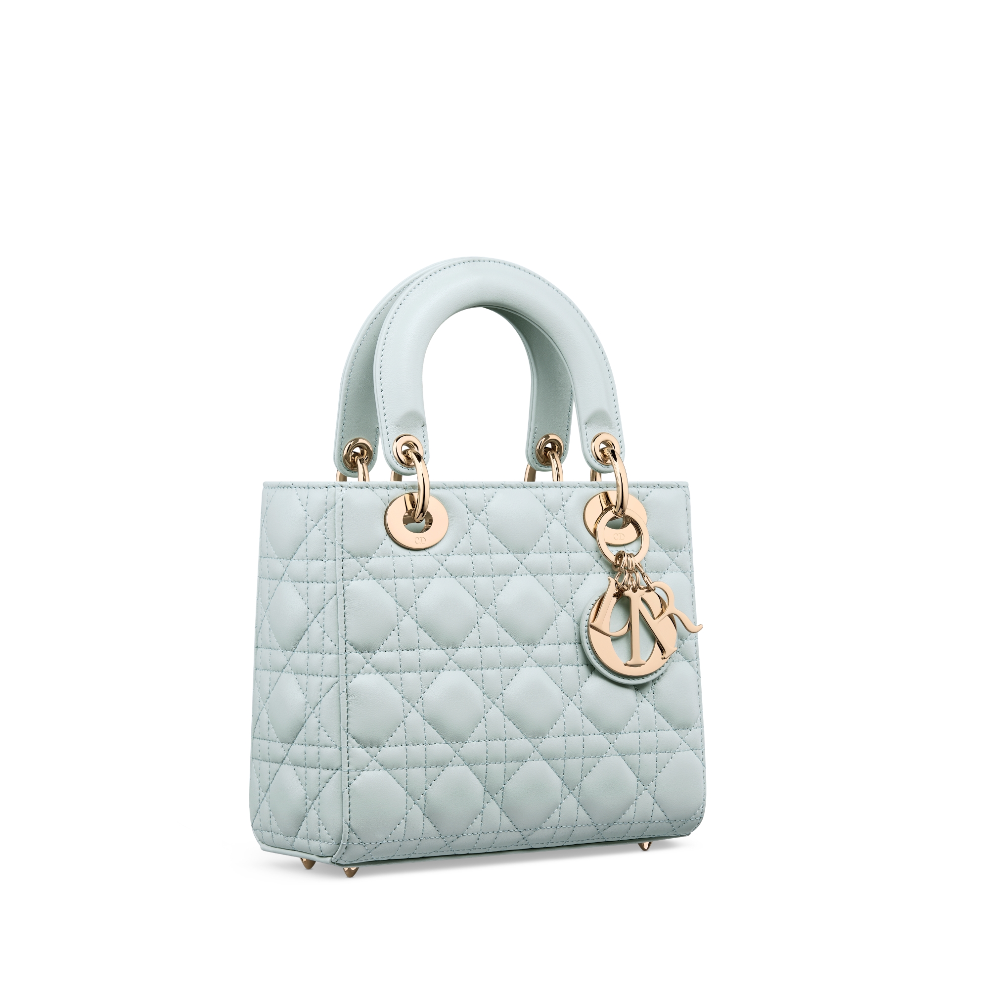 My Lady Dior and I Bag