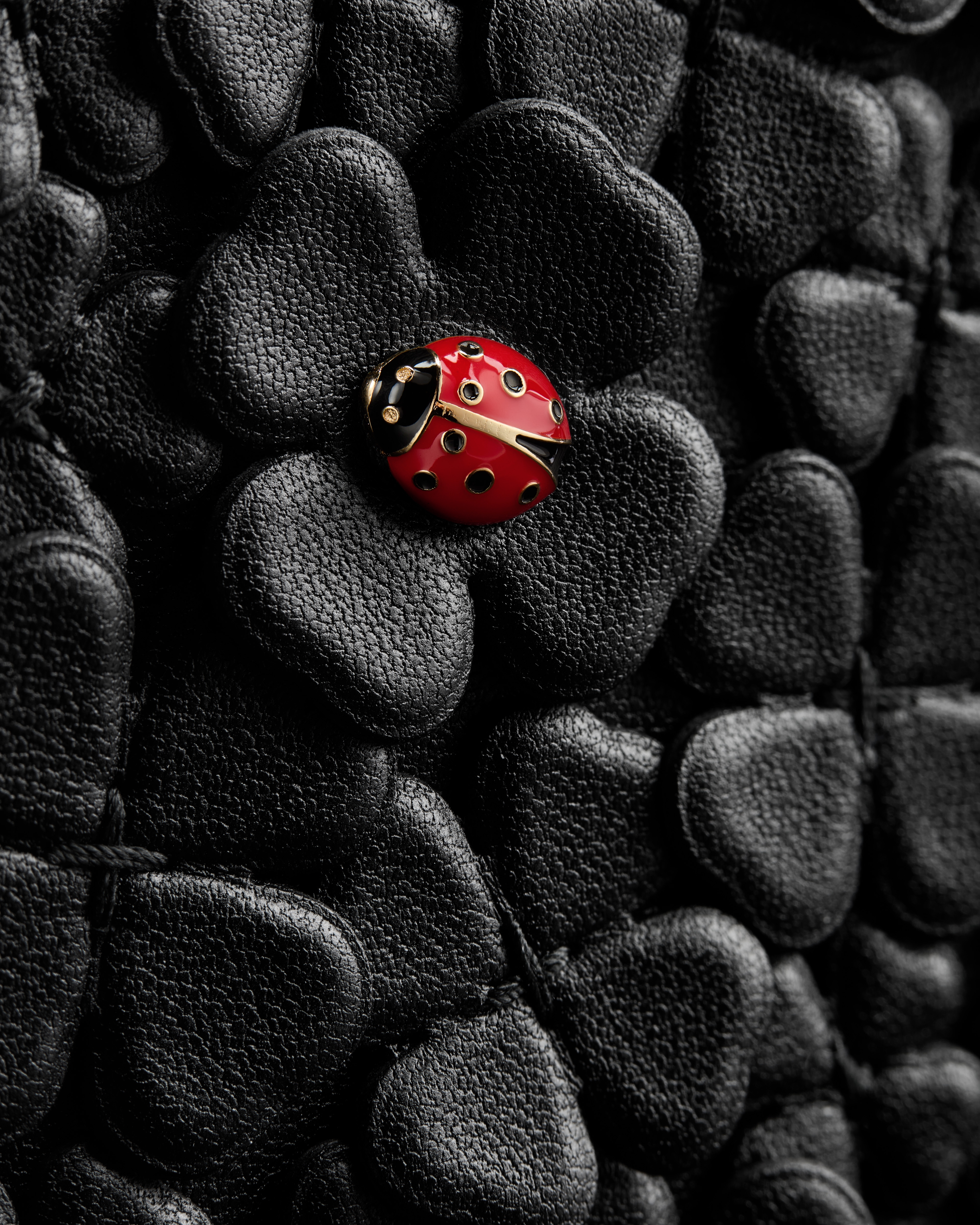 Mini Lady Dior Bag with Strap Black Dior Clover Allover Embroidered Lambskin E10