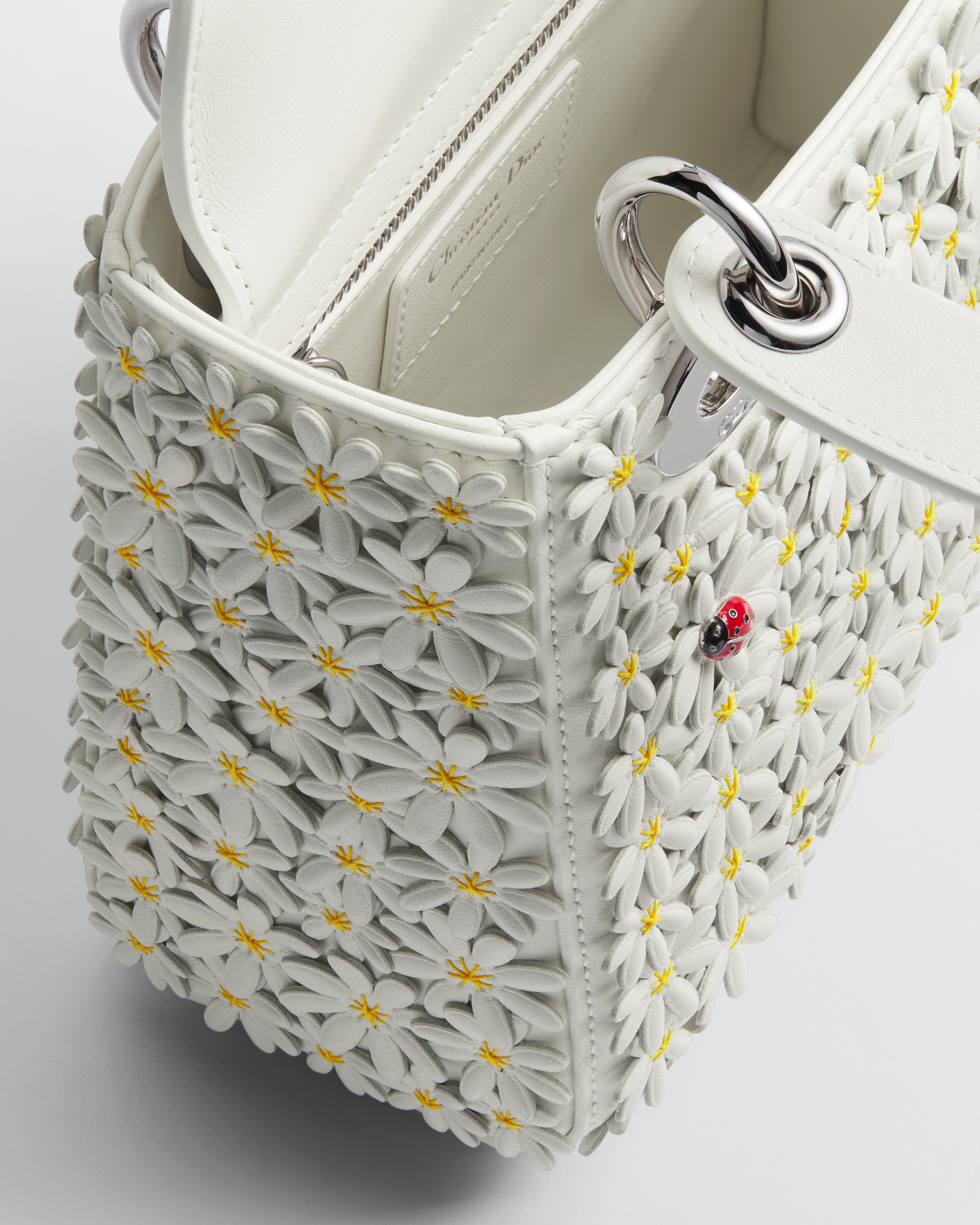 Mini Lady Dior Tasche mit Trageriemen