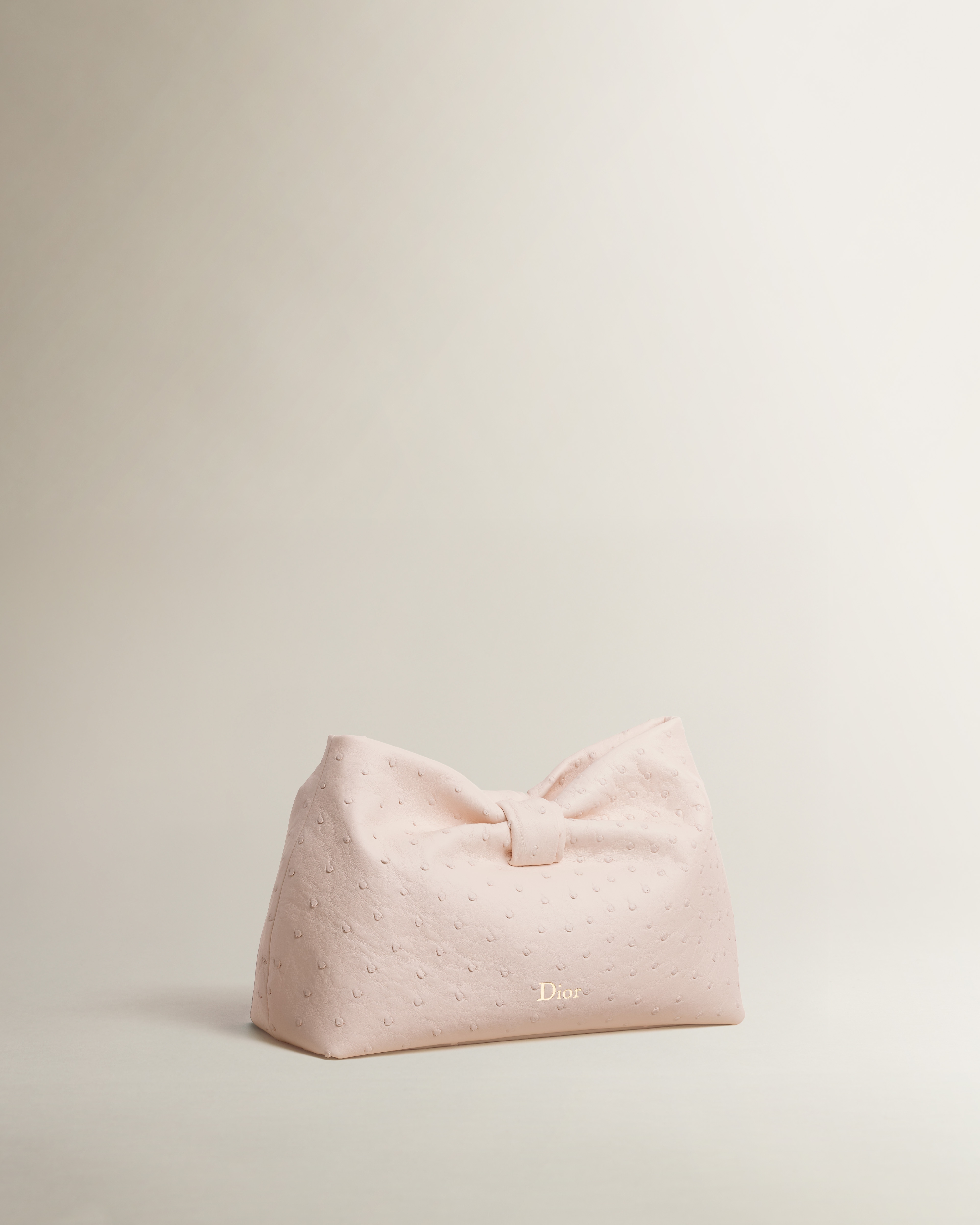 Small Dior Bow Bag