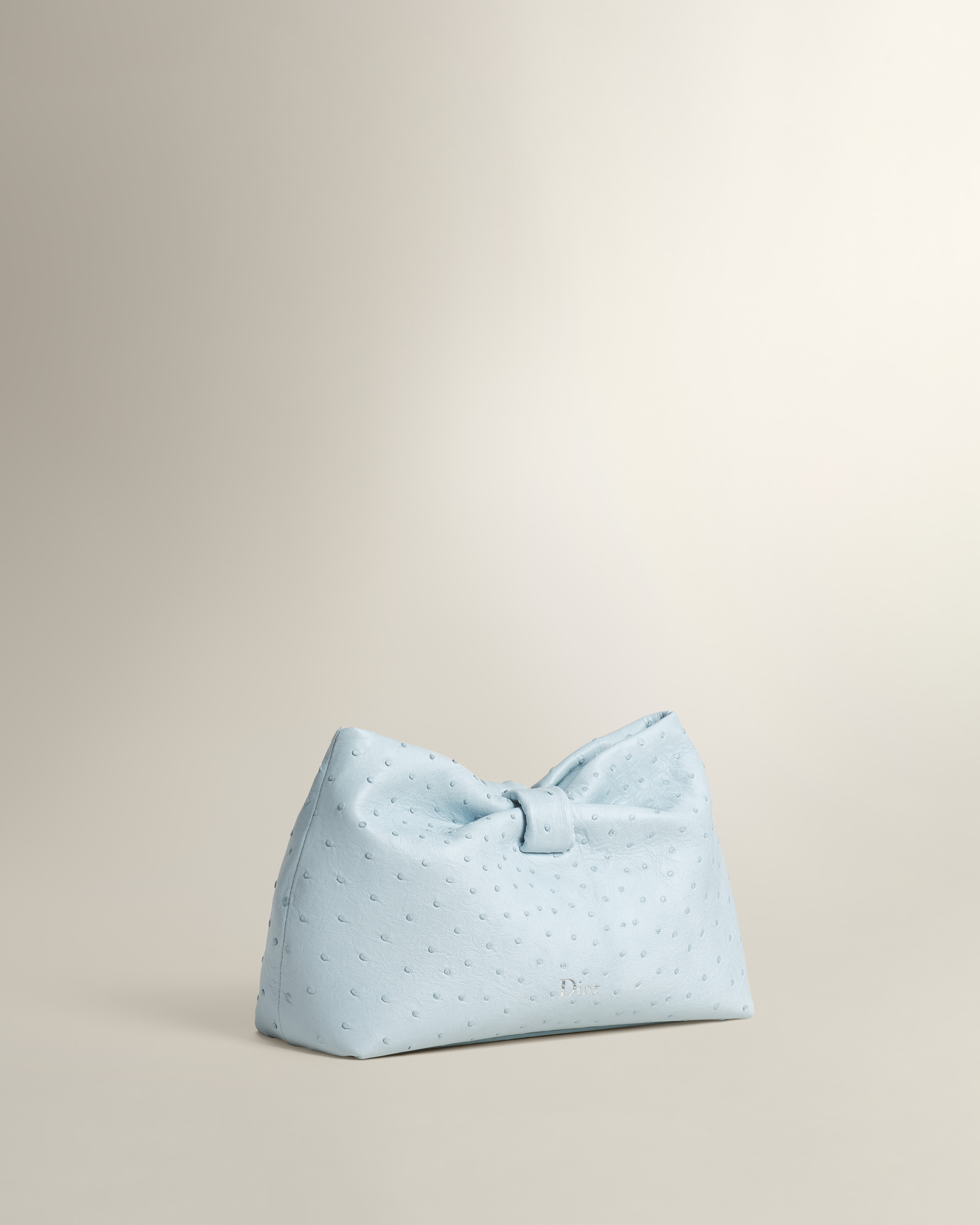 Small Dior Bow Bag