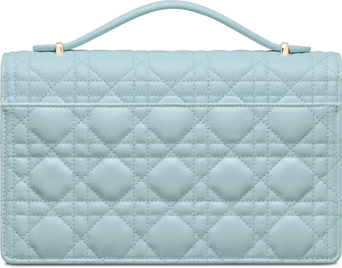 Dior celestial bag shop