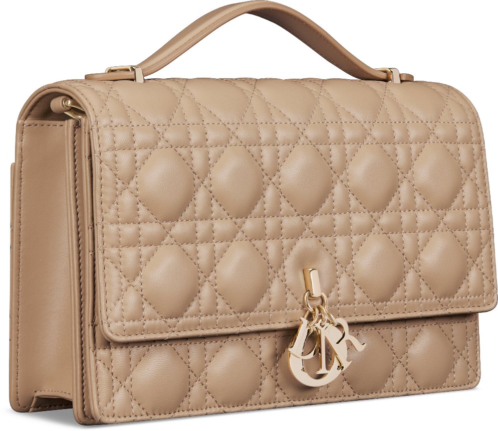 Dior bag handle 2025