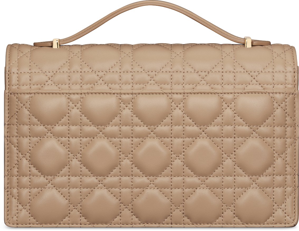 Dior top handle top