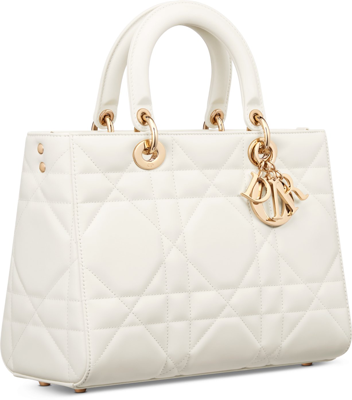 DIOR | レディディオール |ウィメンズレザーグッツ｜ディオール公式オンラインブティック