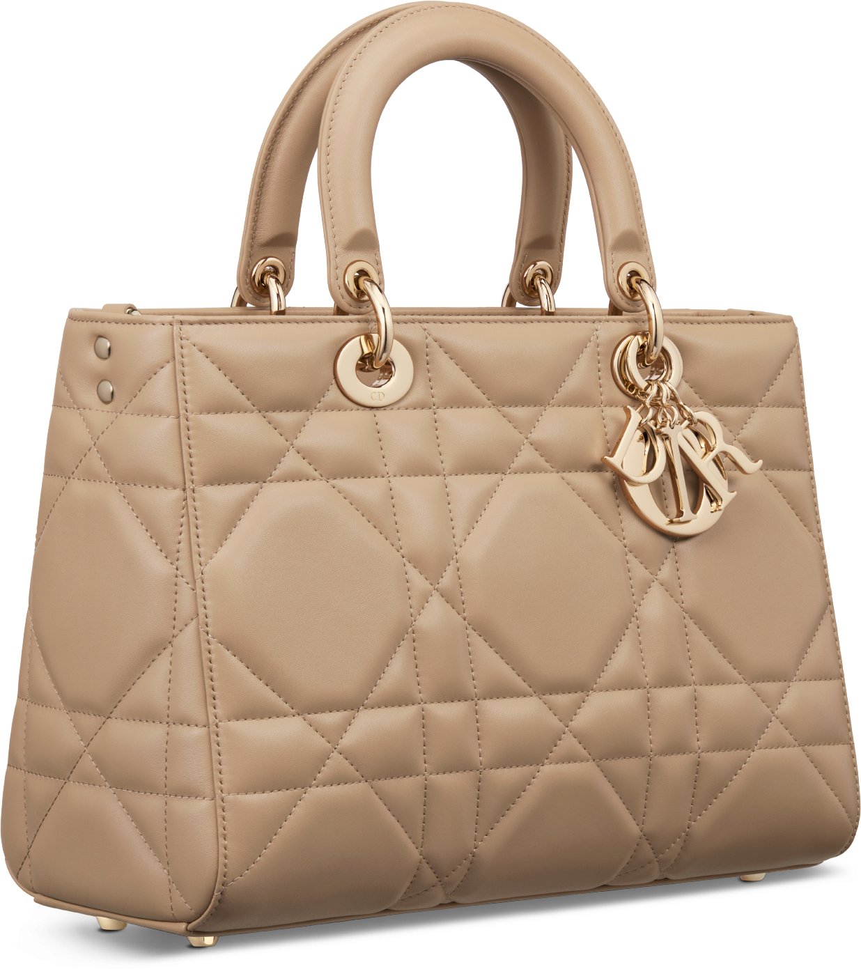 Dior bag sg discount