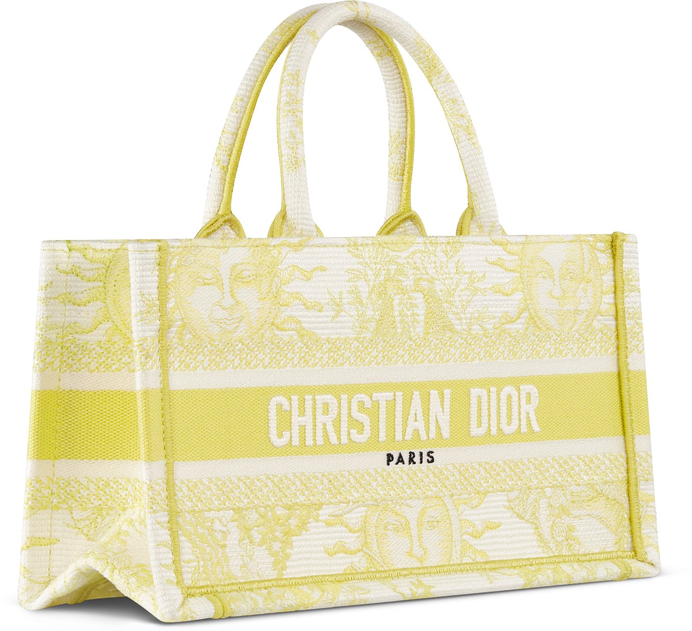 Dior travel tote store