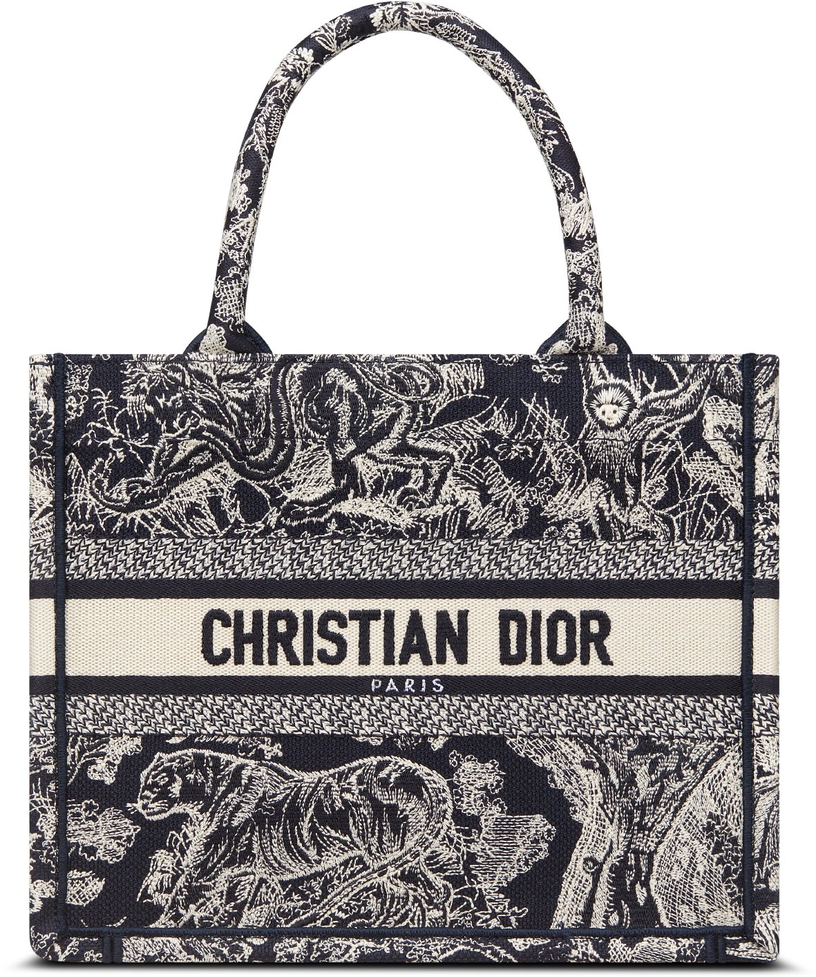 Small Dior Book Tote aria_woman_viewcode_e01