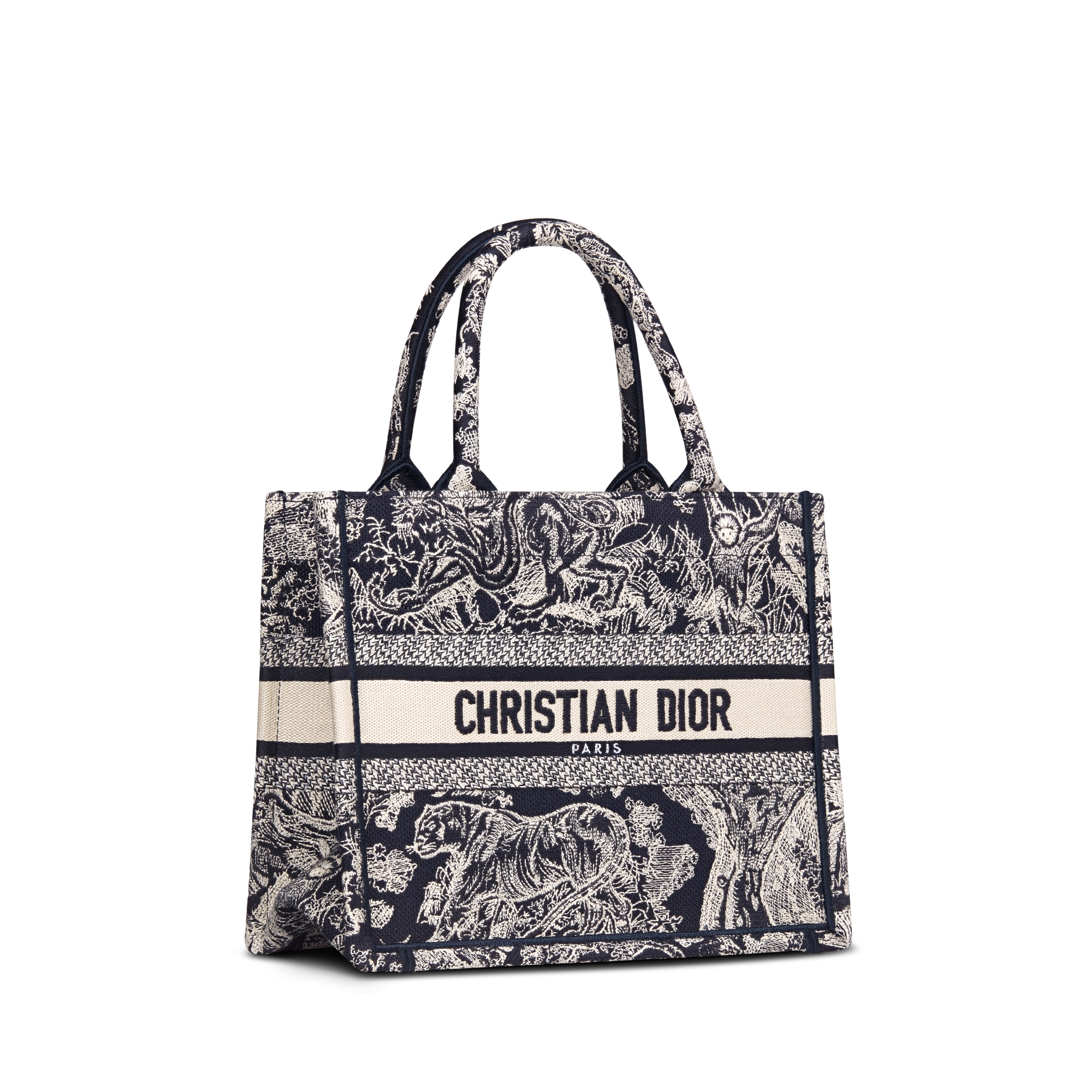 Small Dior Book Tote