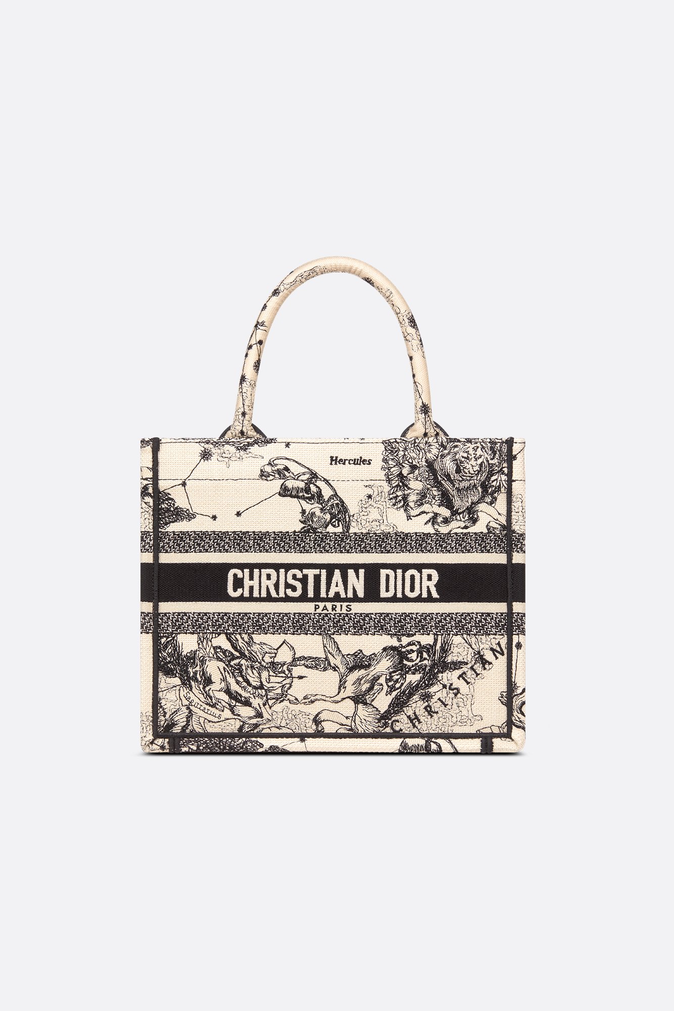 DIOR | トートバッグ |ウィメンズバッグ|ディオール公式 DIOR | トートバッグ |ウィメンズバッグ|ディオール公式