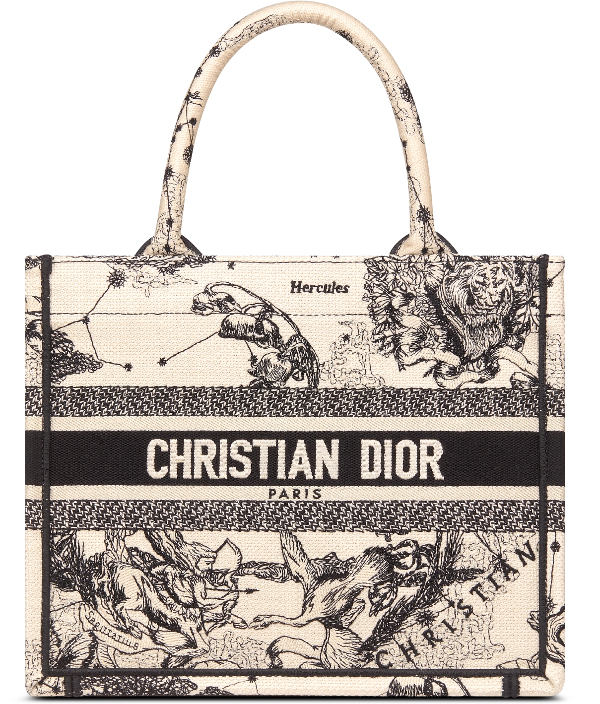 DIOR | トートバッグ |ウィメンズバッグ｜ディオール公式オンラインブティック