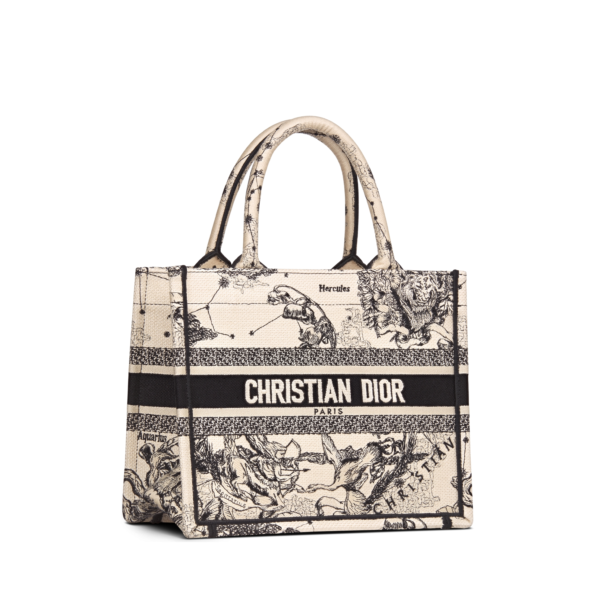 Christian Dior Hercules トートバッグ Christian Dior Hercules トートバッグ