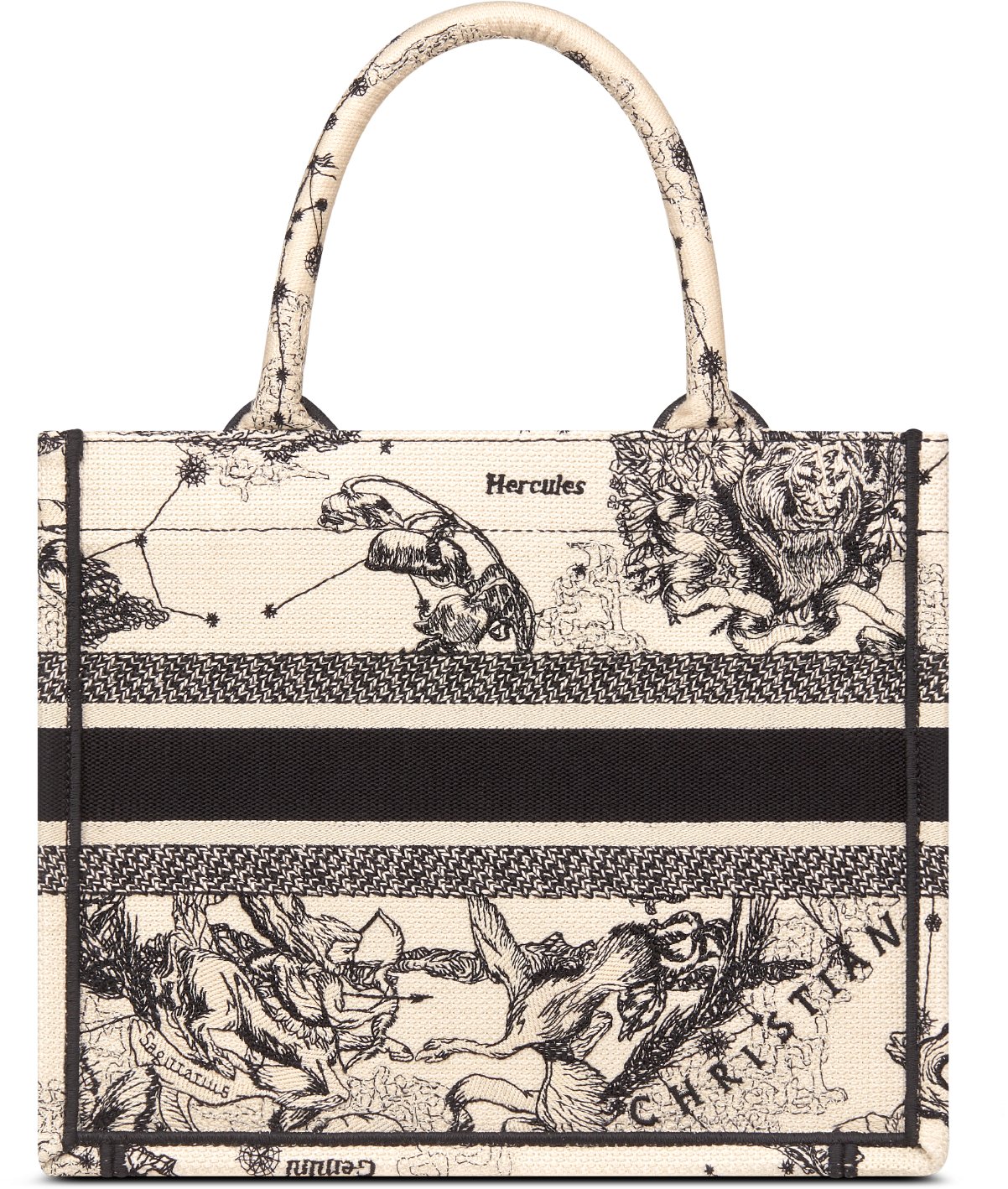 Dior zodiac bag 2025