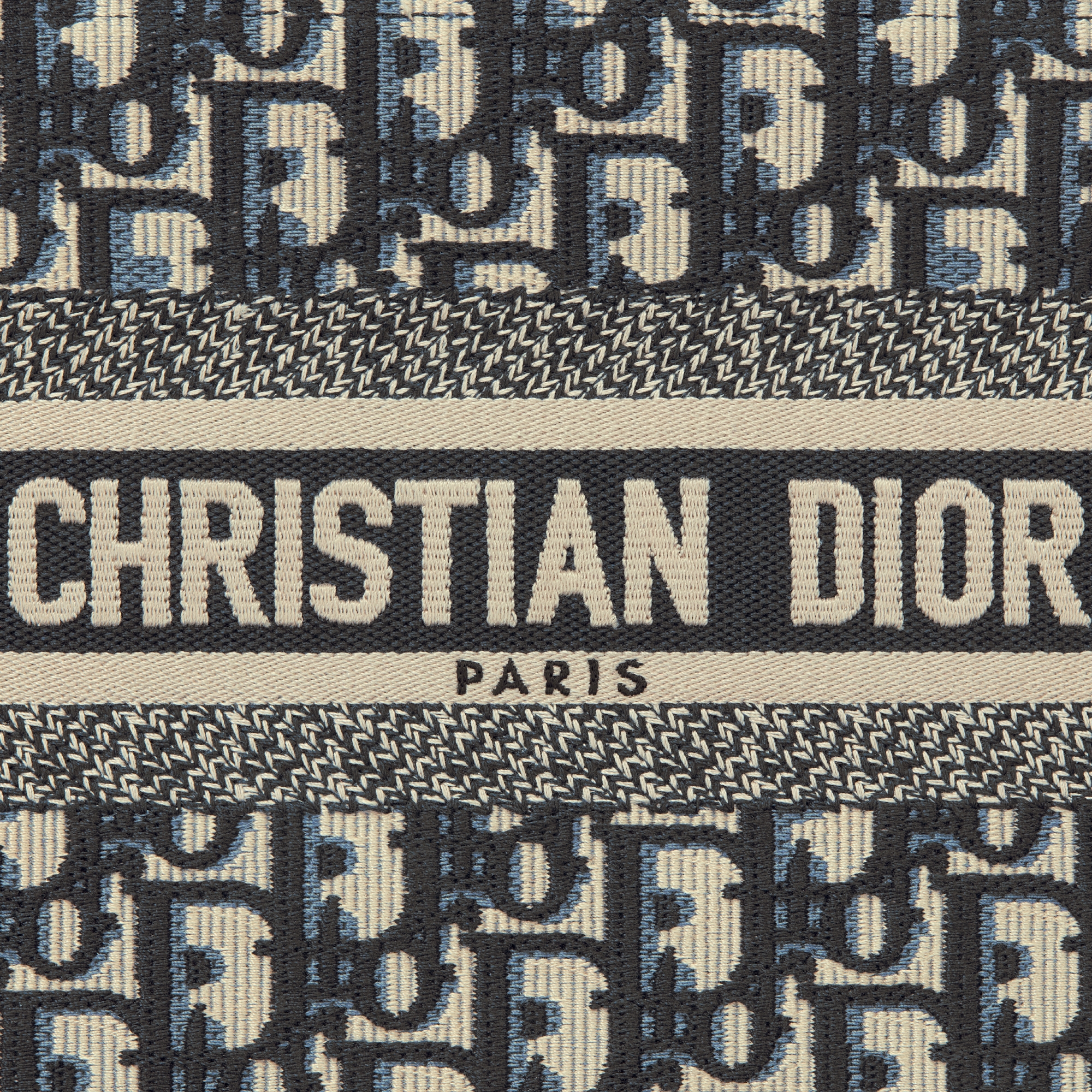 Small Dior Book Tote