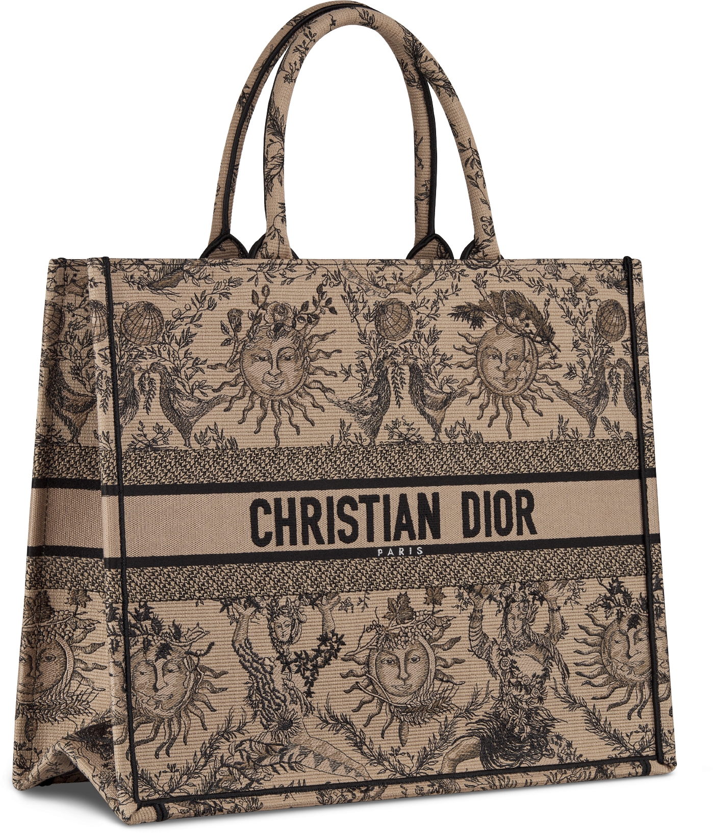 Dior book tote australia best sale