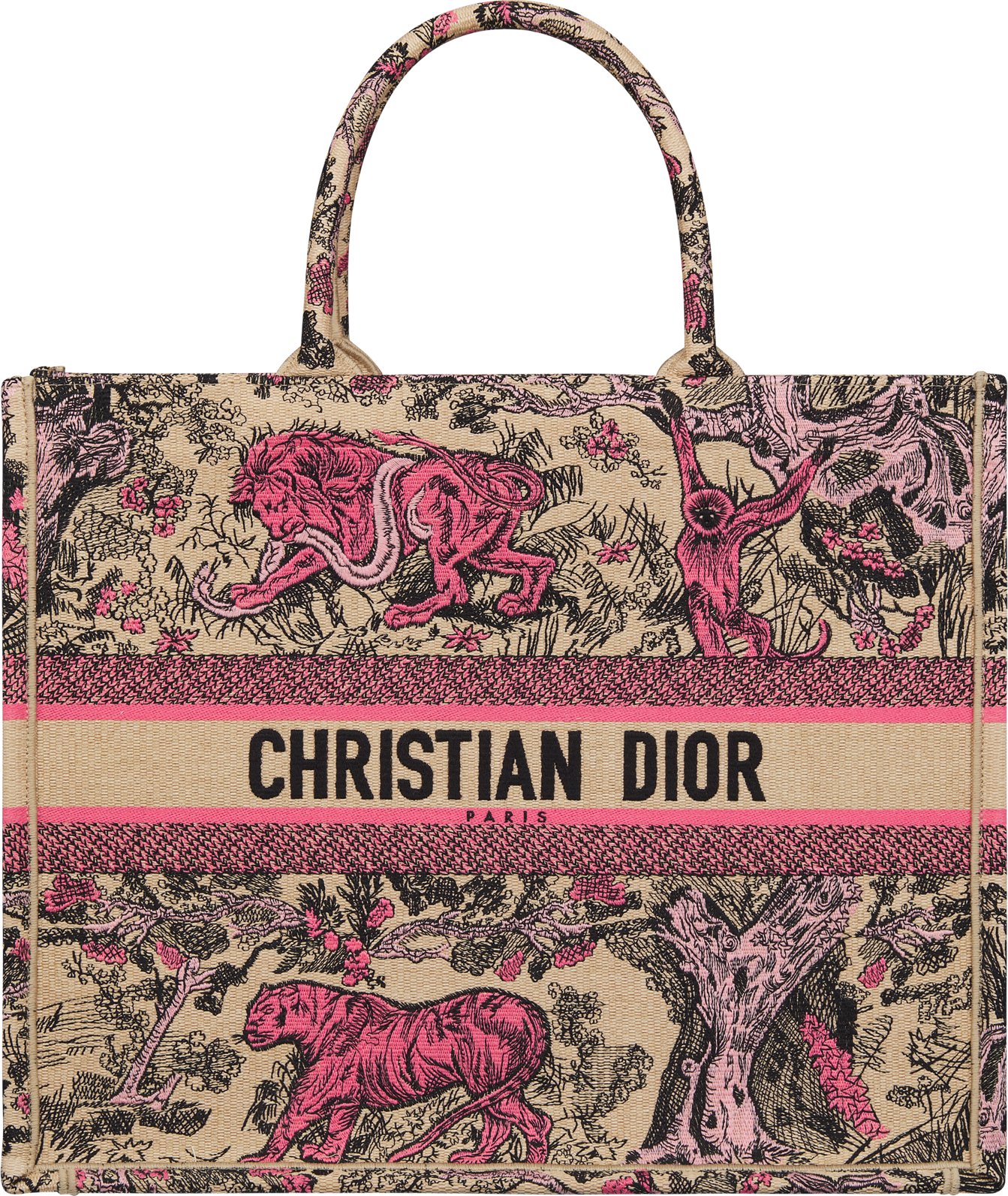 Dior toile bag sales