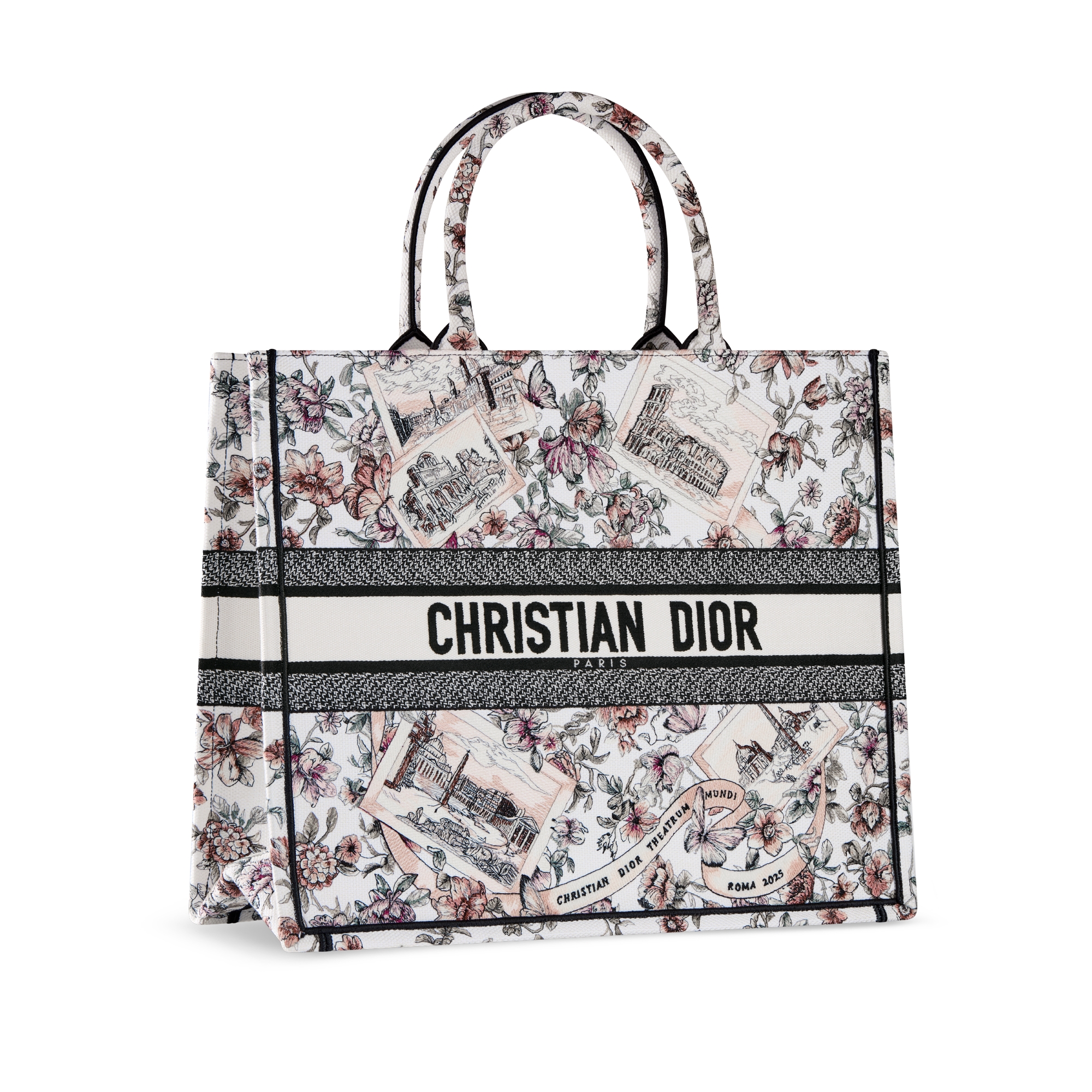 Large Dior Book Tote