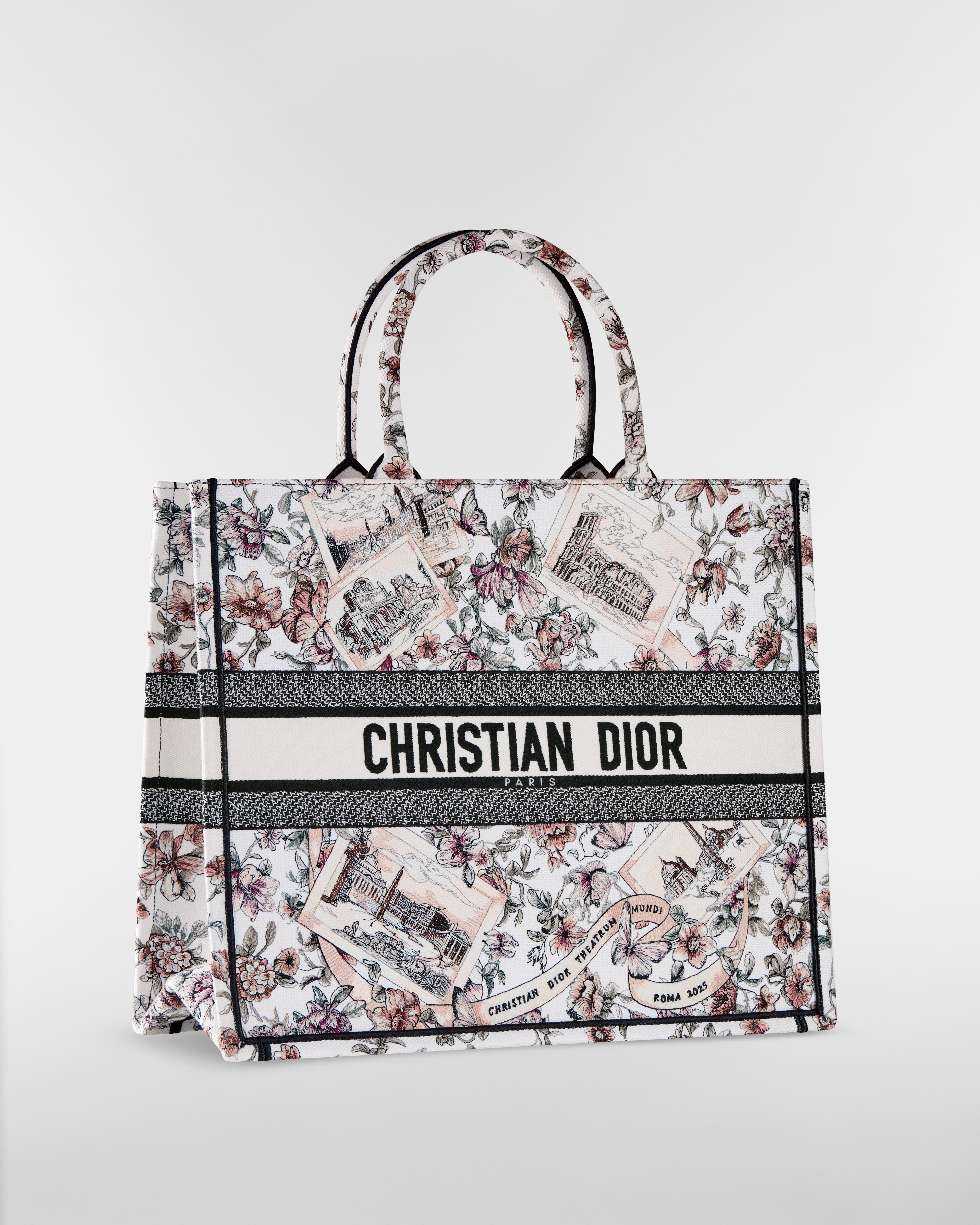 Große Dior Book Tote
