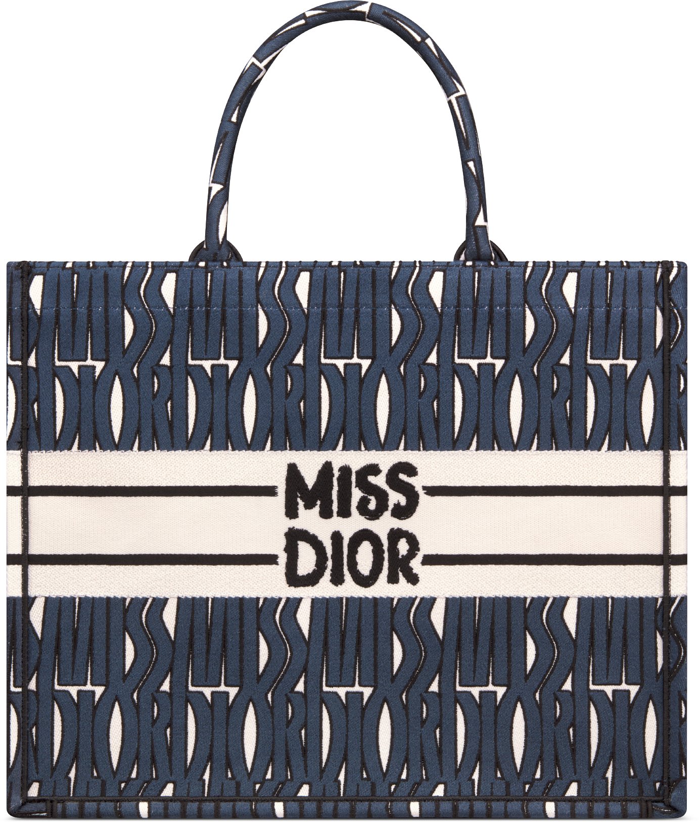 Dior book tote price india sale