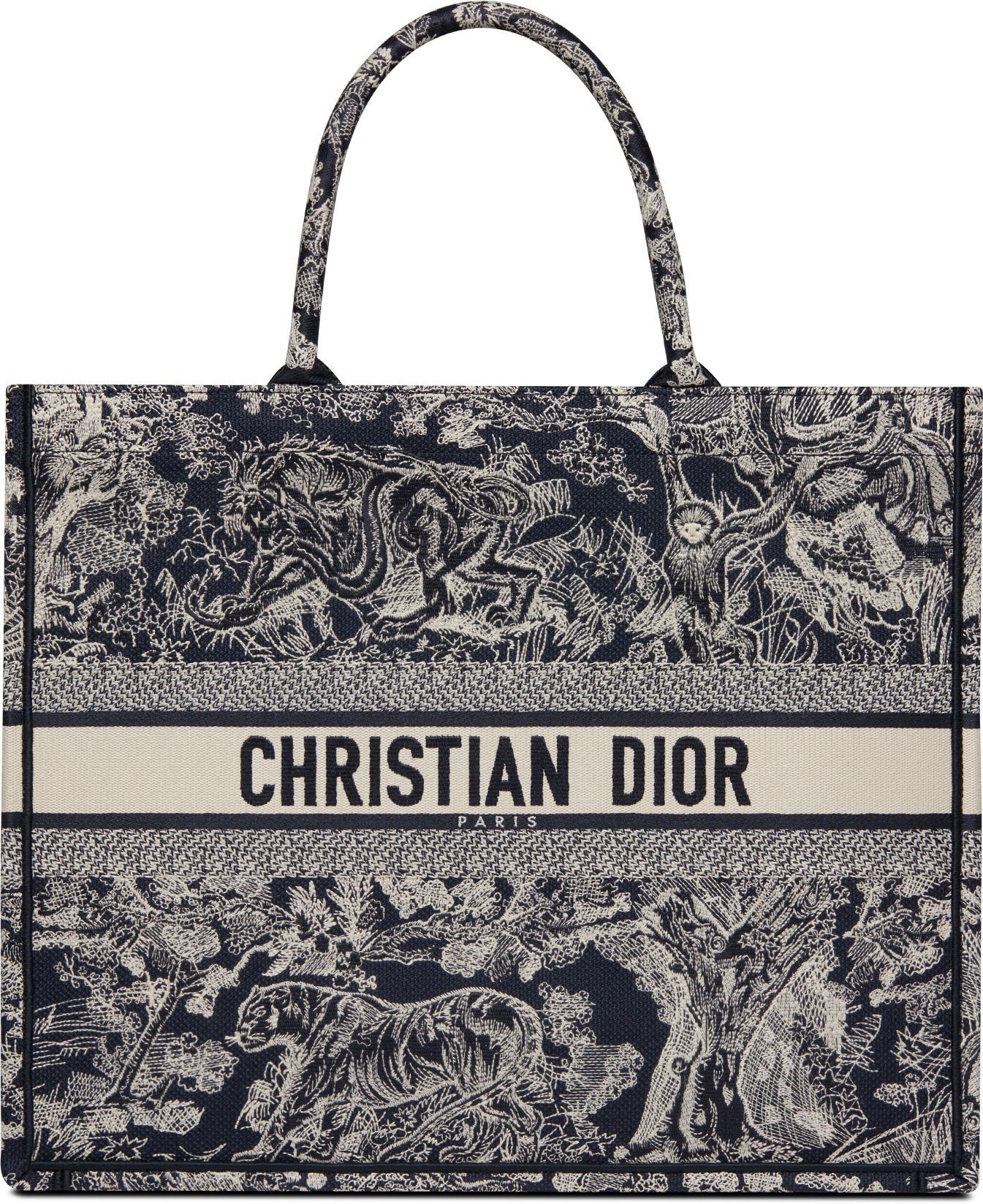 Large Dior Book Tote aria_woman_viewcode_e01