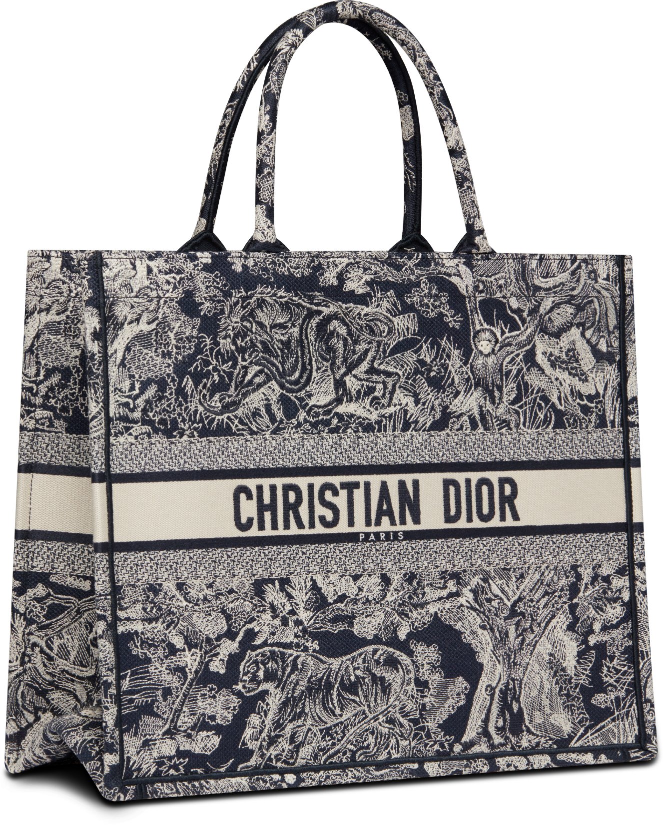 大碼 Dior Book Tote aria_threeQuarterClosedView