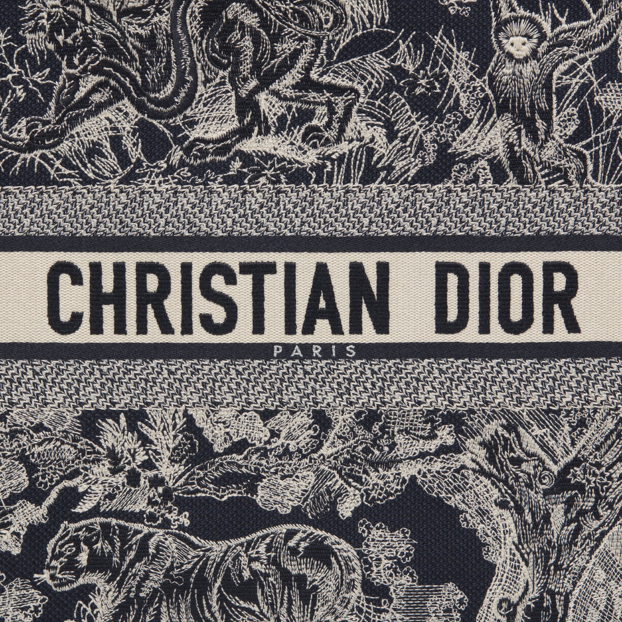 大碼 Dior Book Tote aria_detailedView