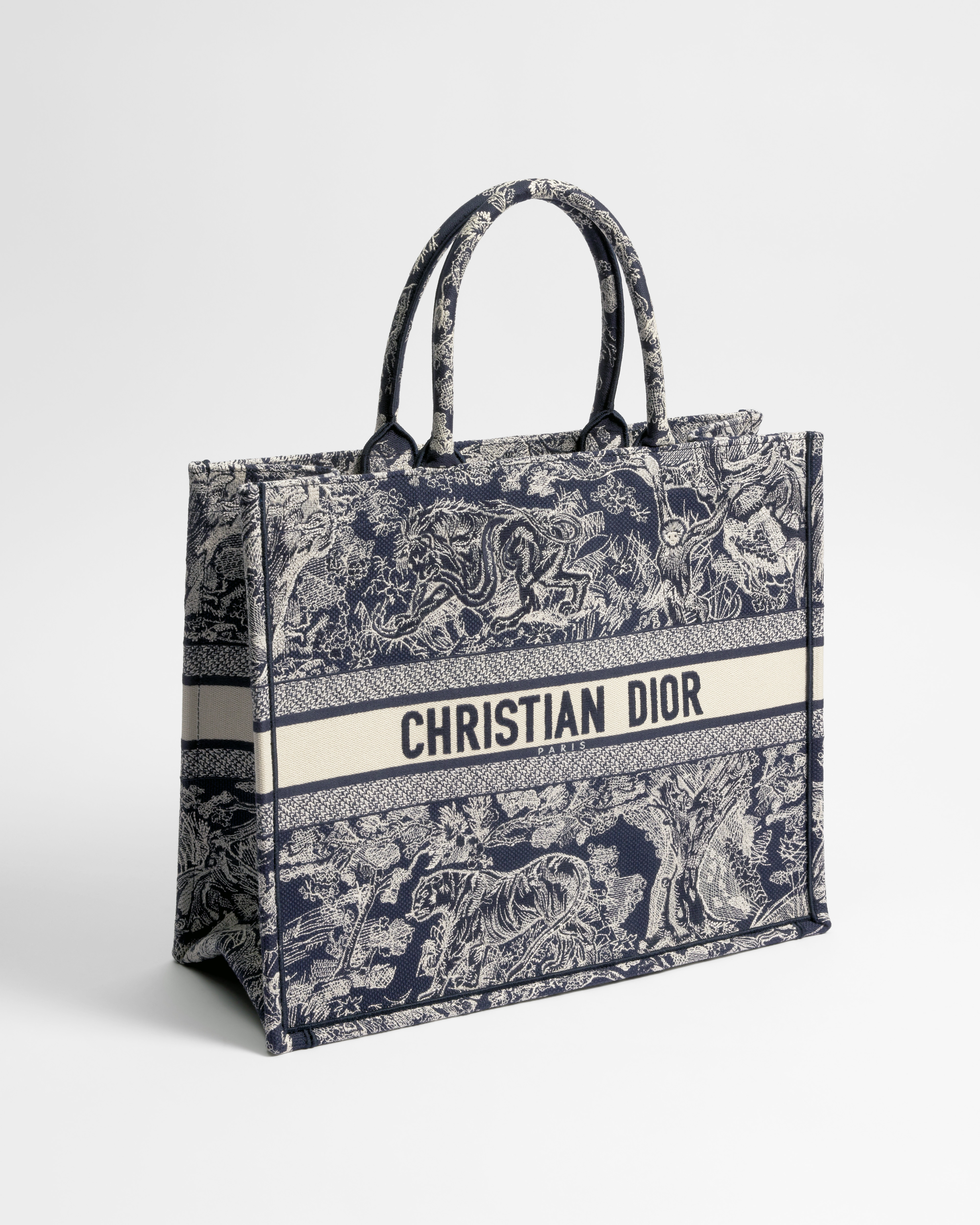 Borsa grande Dior Book Tote