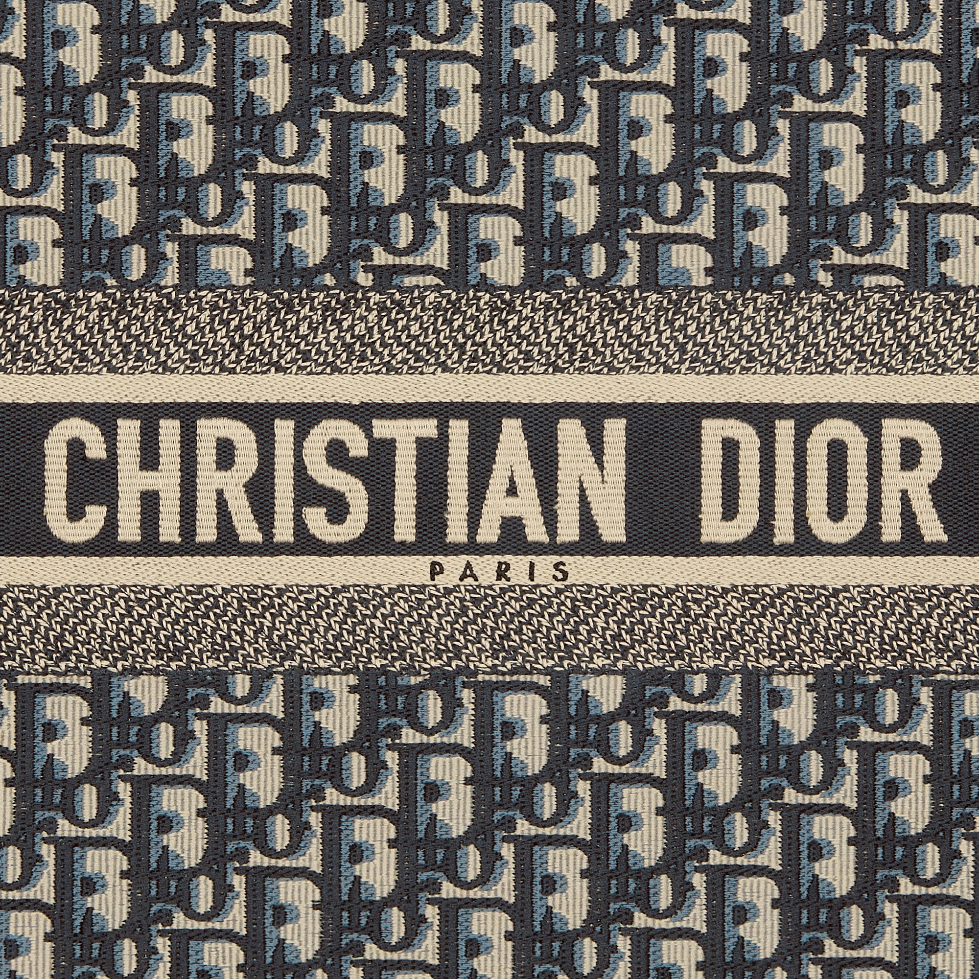 Large Dior Book Tote Ecru and Blue Dior Oblique Embroidery (42 x 35 x 18.5 cm) E09