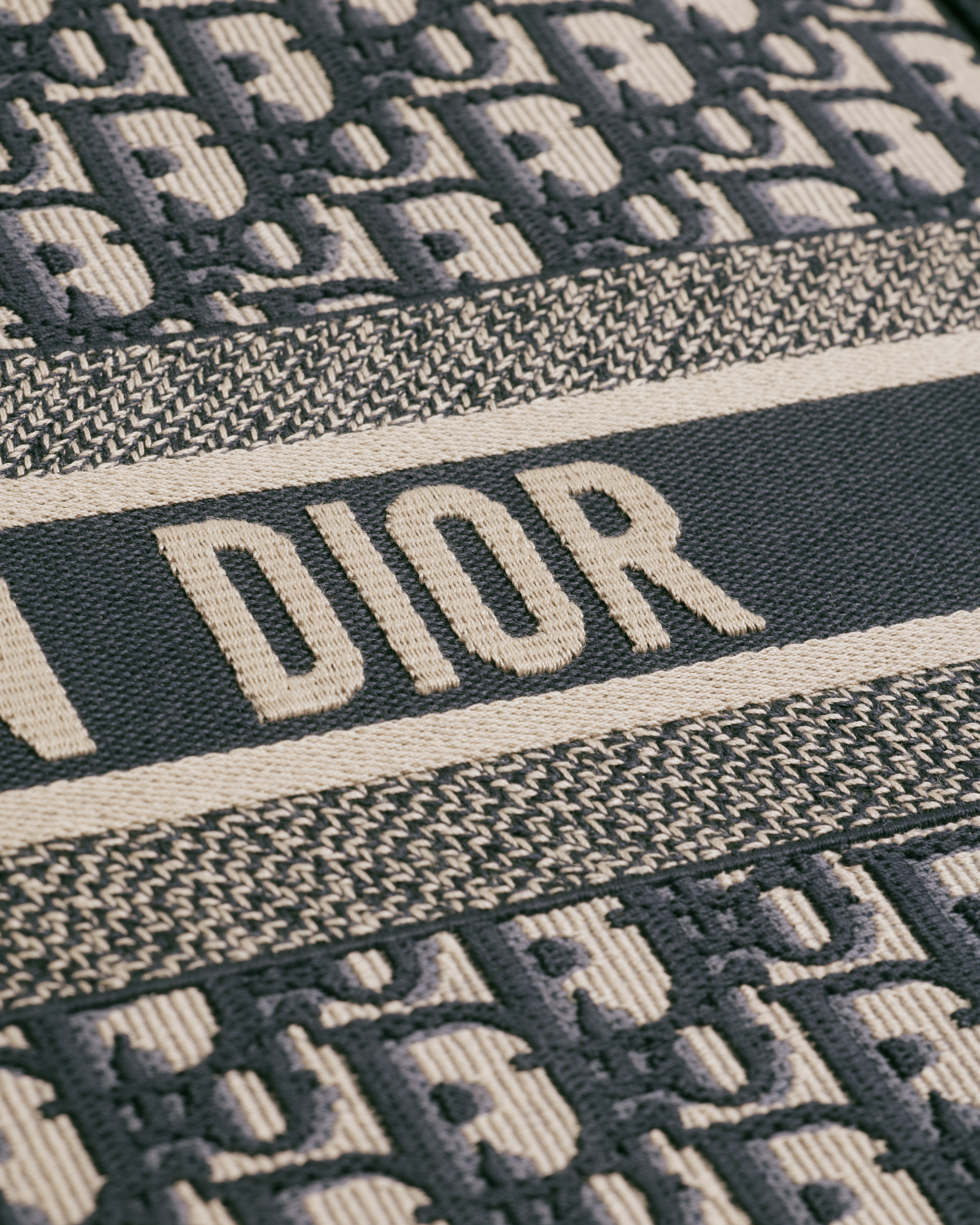 Large Dior Book Tote Ecru and Blue Dior Oblique Embroidery (42 x 35 x 18.5 cm) E09