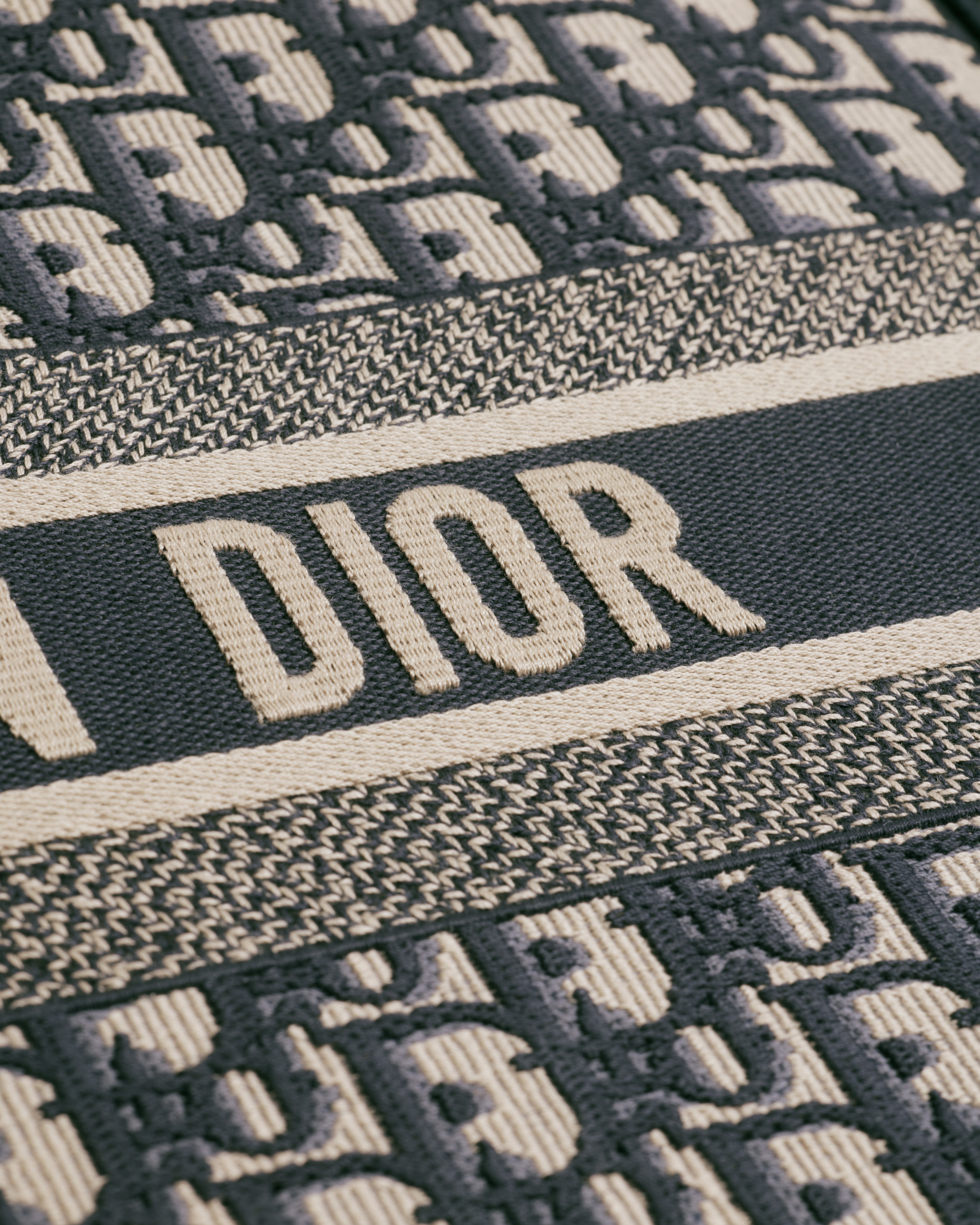 Large Dior Book Tote