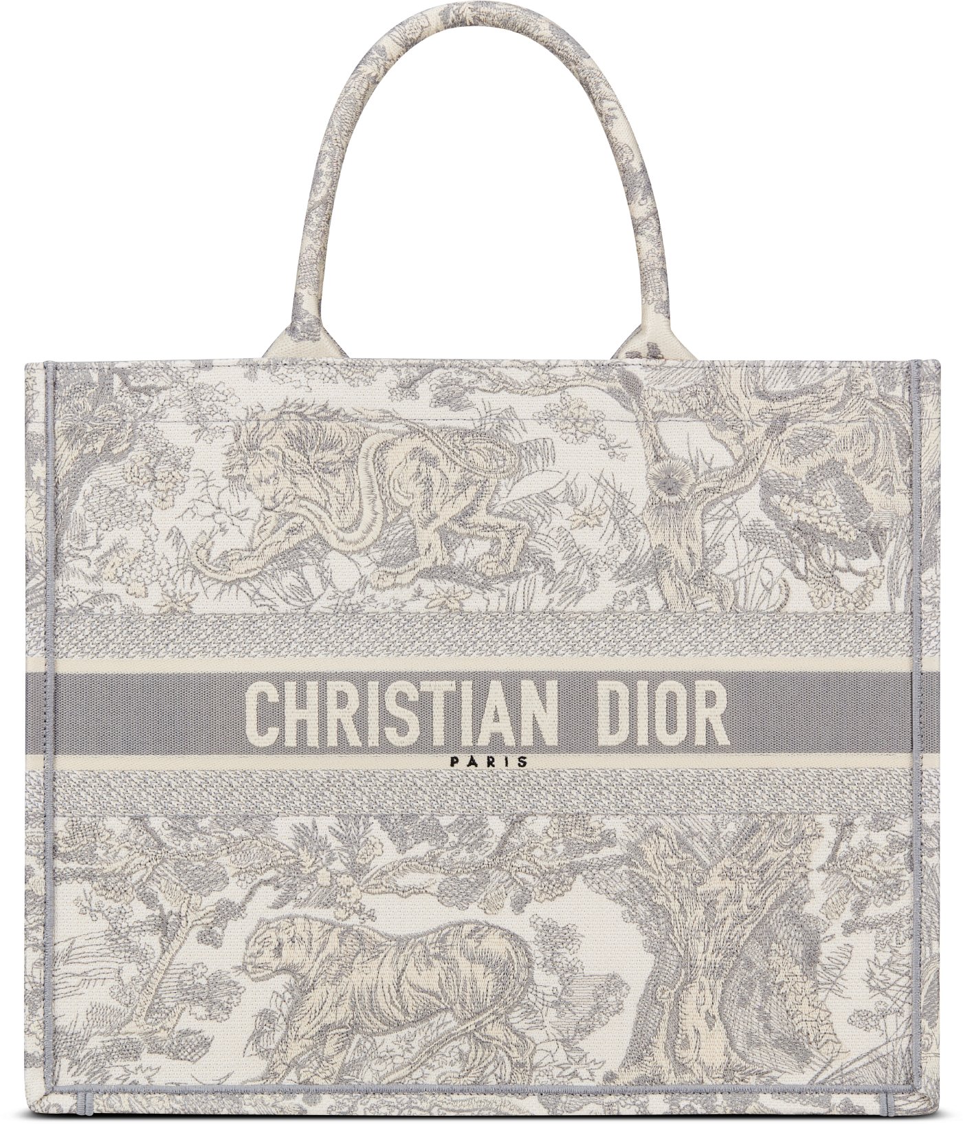Dior bag beach new arrivals